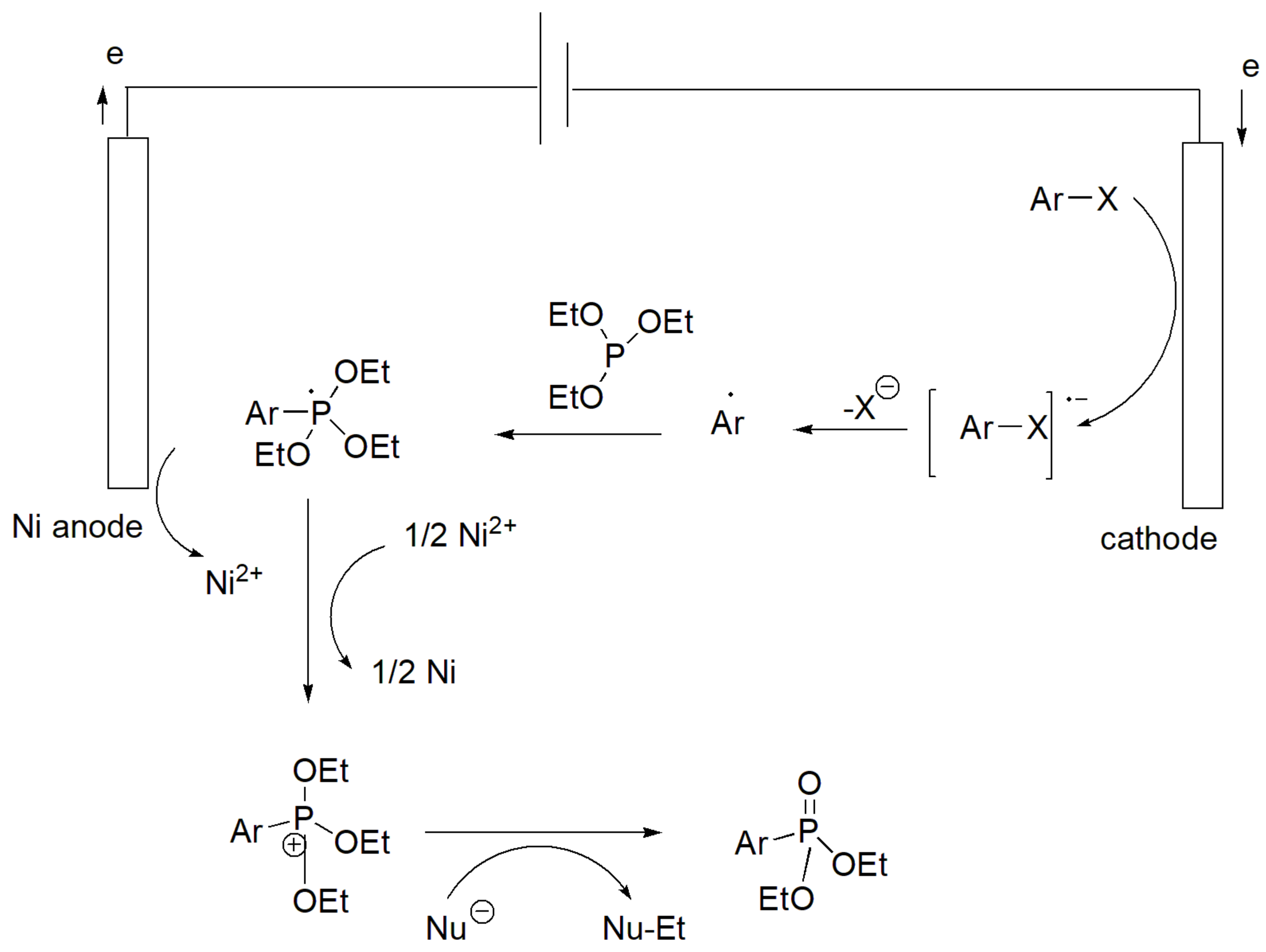 Ijms 23 03395 sch032
