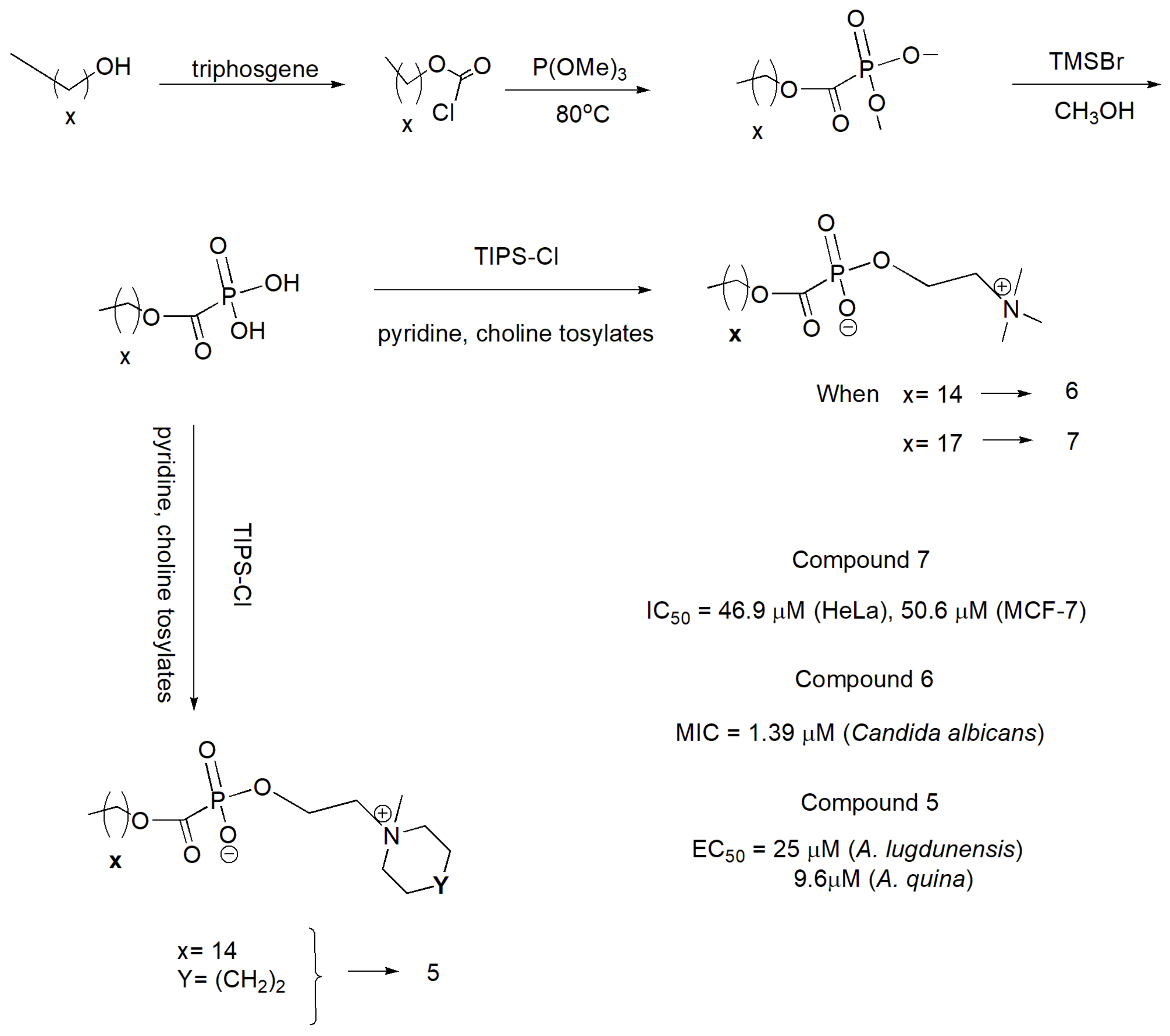 Ijms 23 03395 sch048