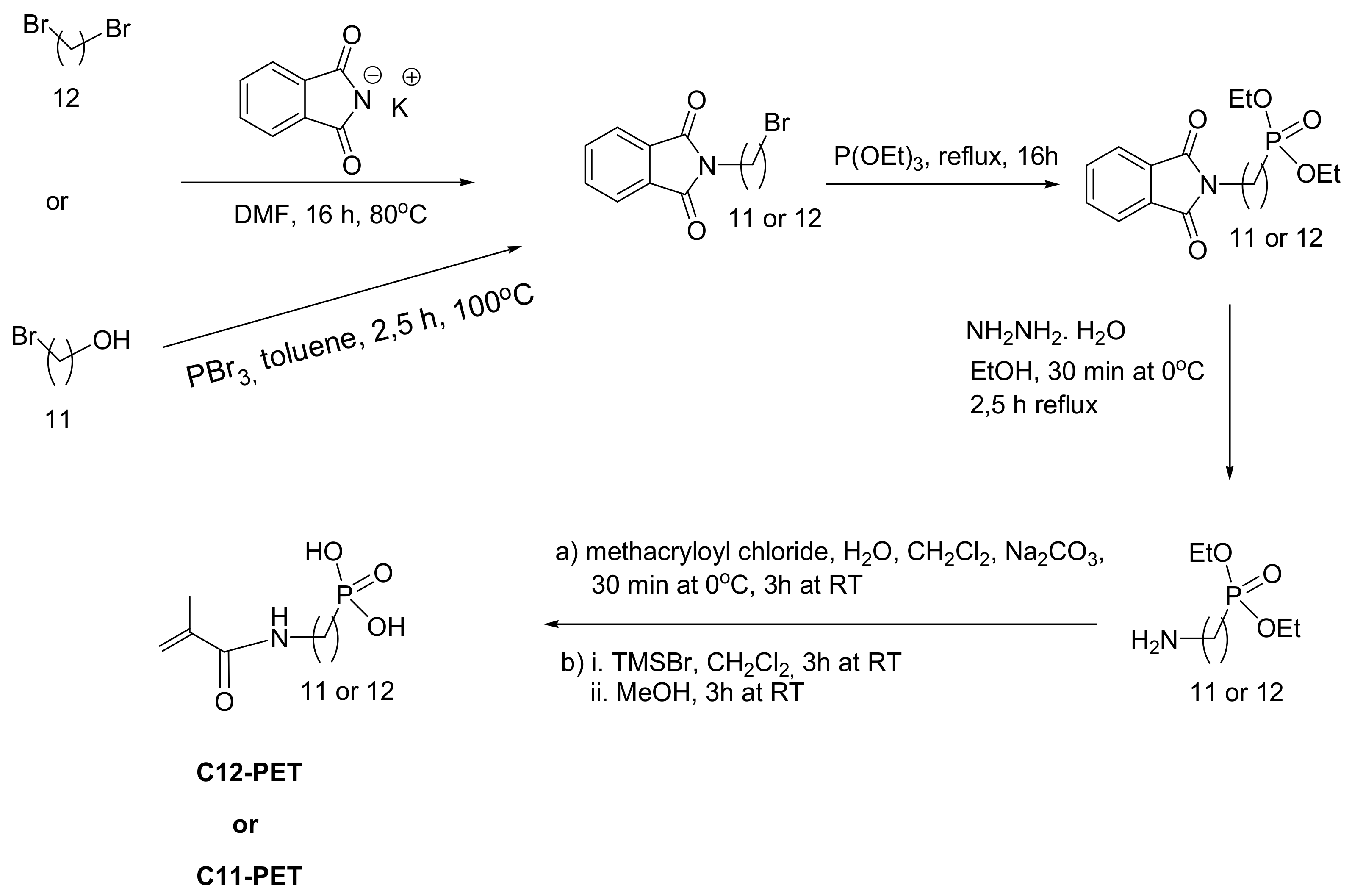 Ijms 23 03395 sch052