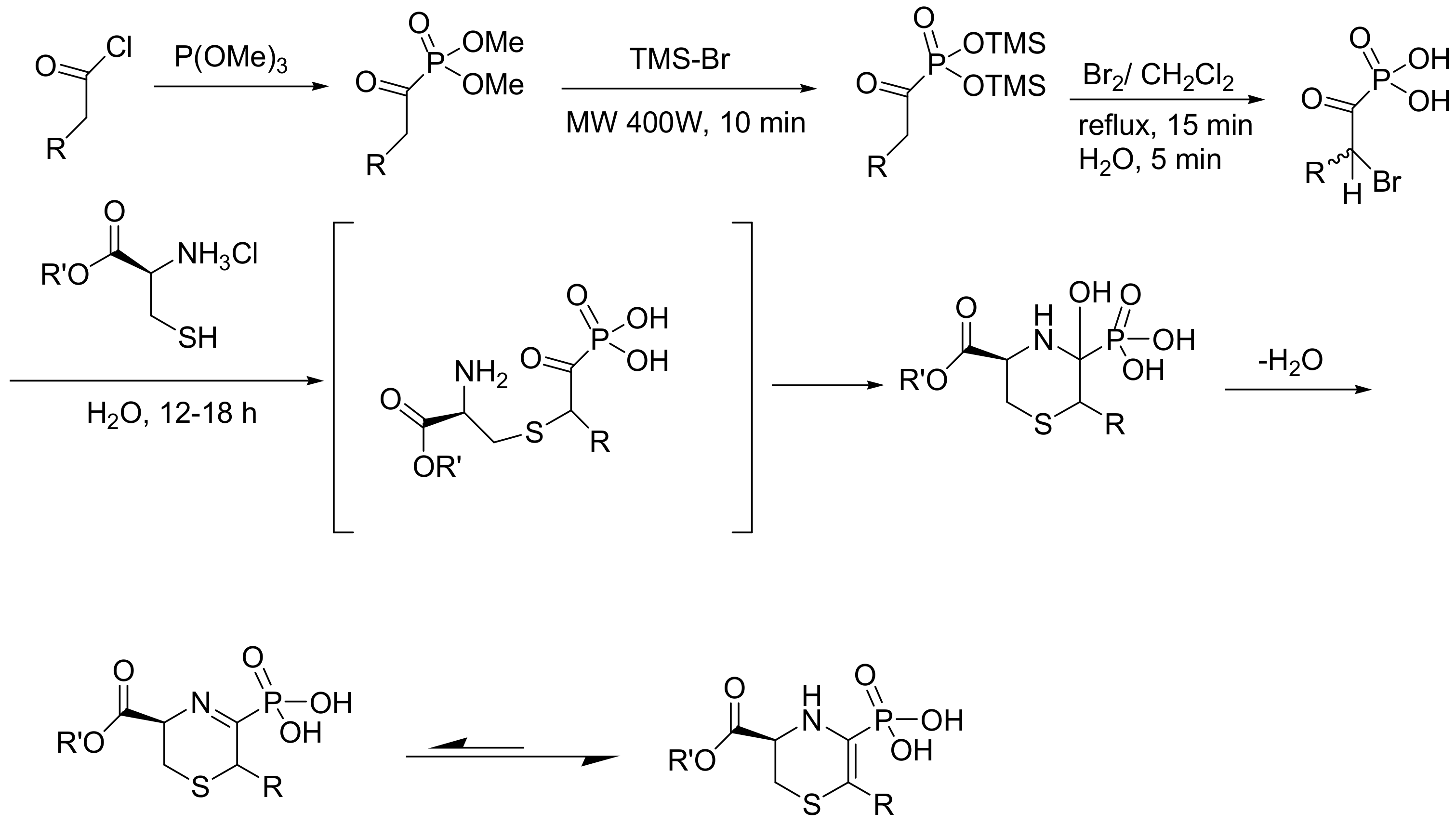 Ijms 23 03395 sch058