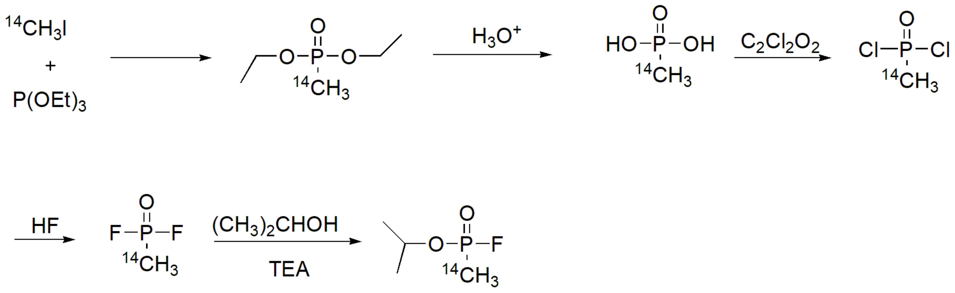 Ijms 23 03395 sch062