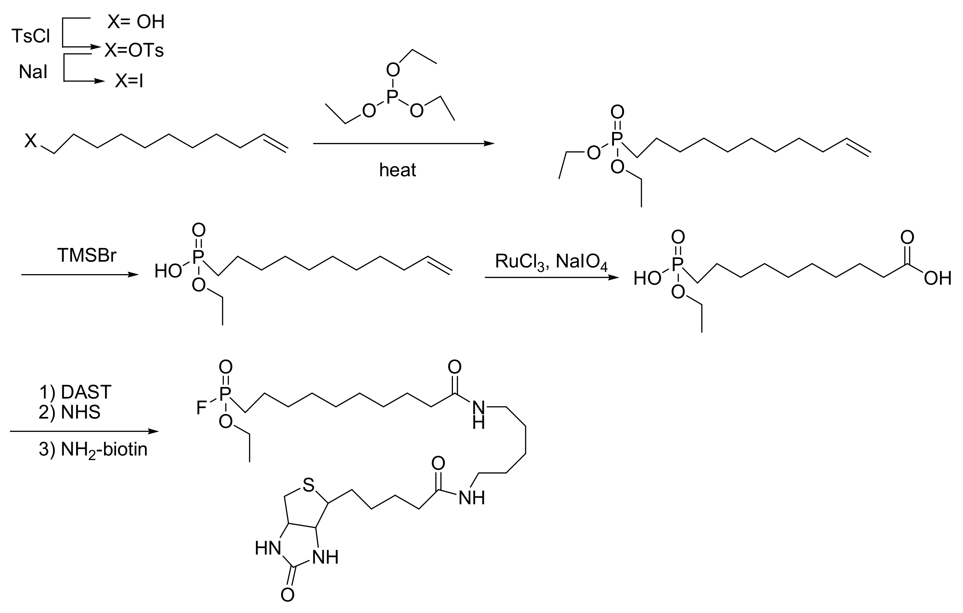 Ijms 23 03395 sch063