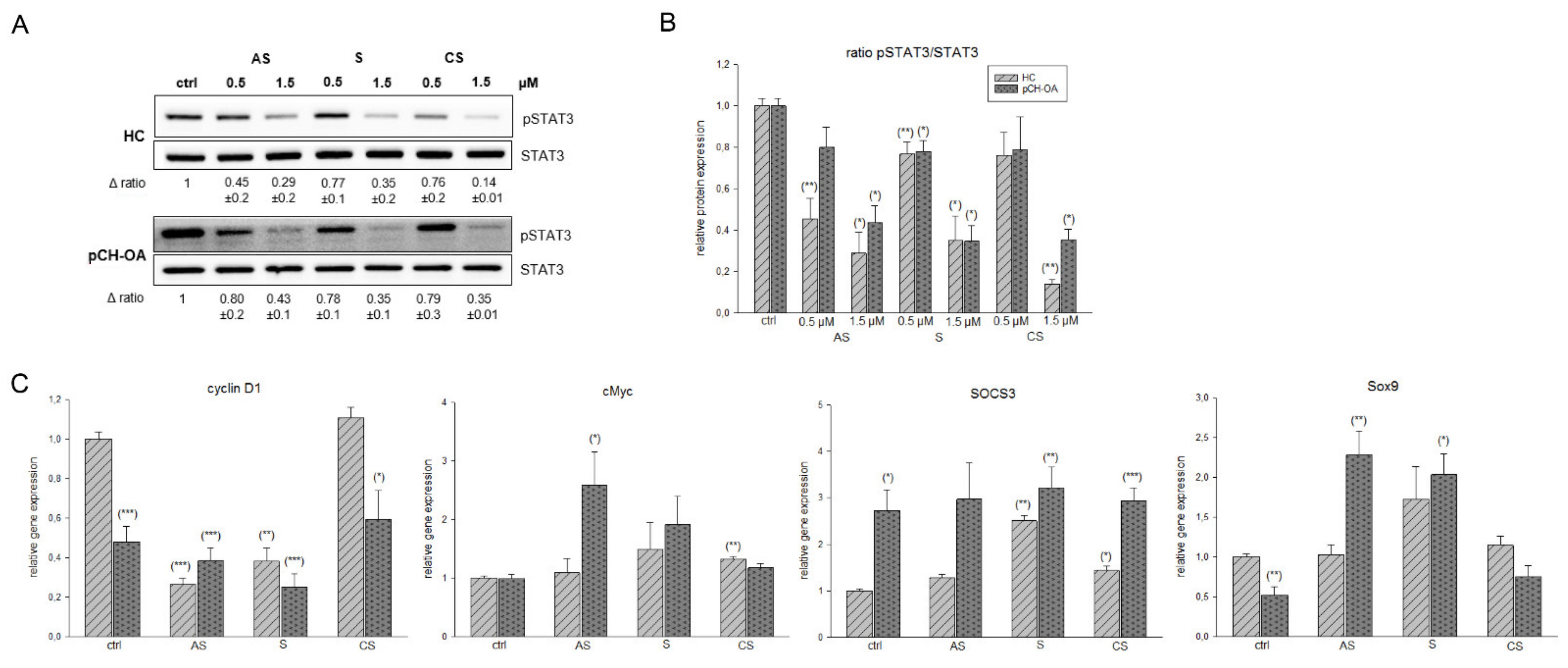 Ijms 23 03396 g005 550