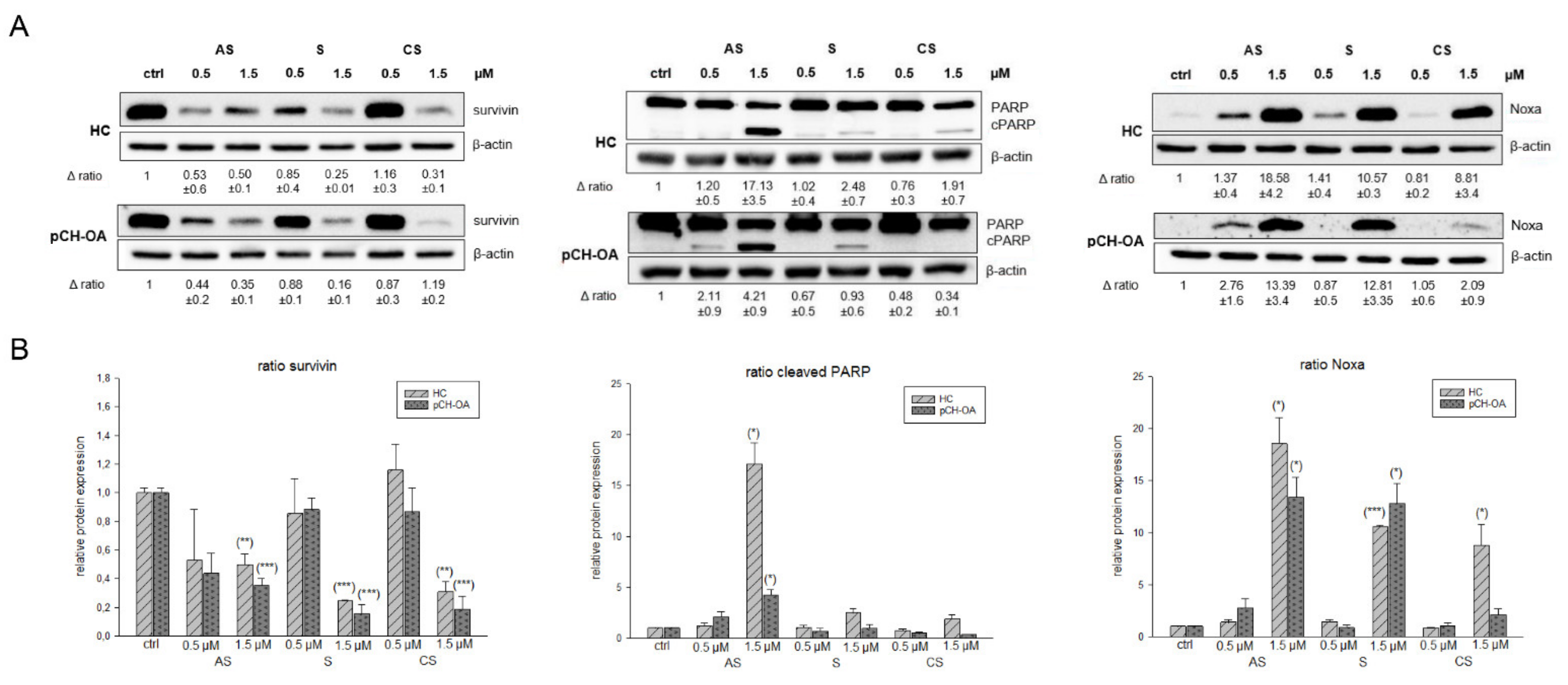 Ijms 23 03396 g006 550