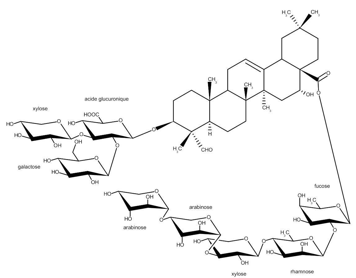 Ijms 23 03397 g001 550