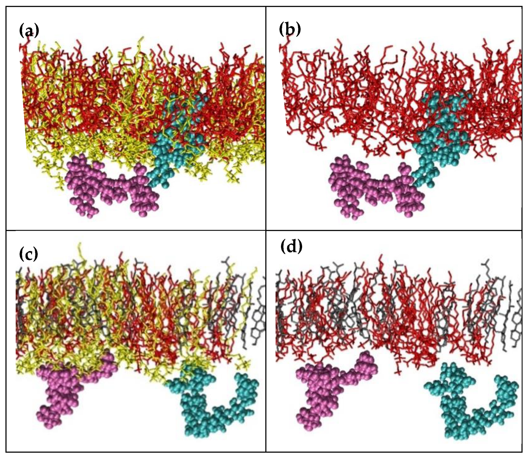 Ijms 23 03397 g008 550