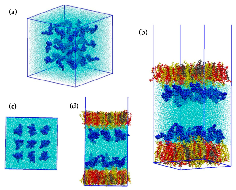 Ijms 23 03397 g009 550