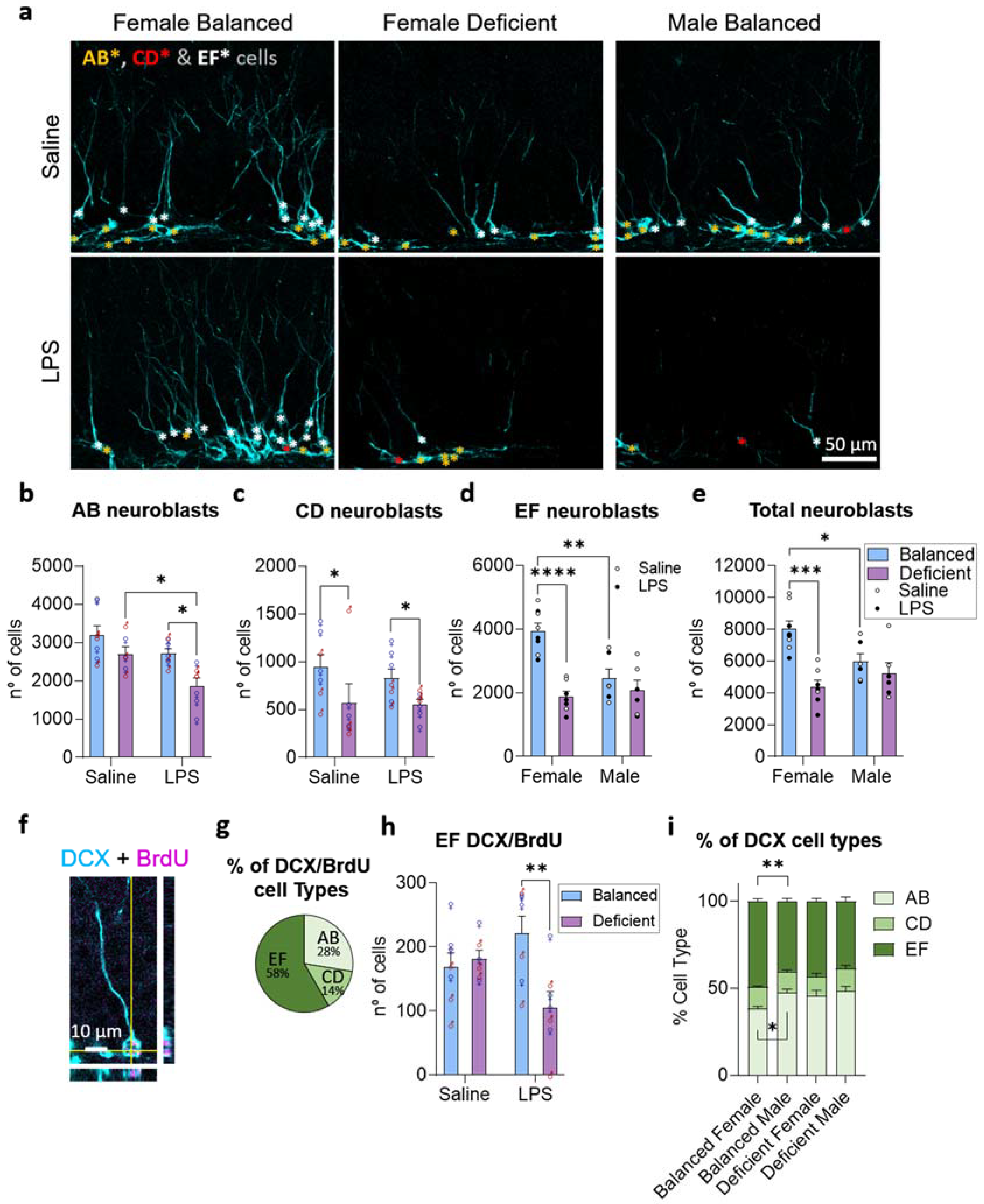 Ijms 23 03399 g004 550