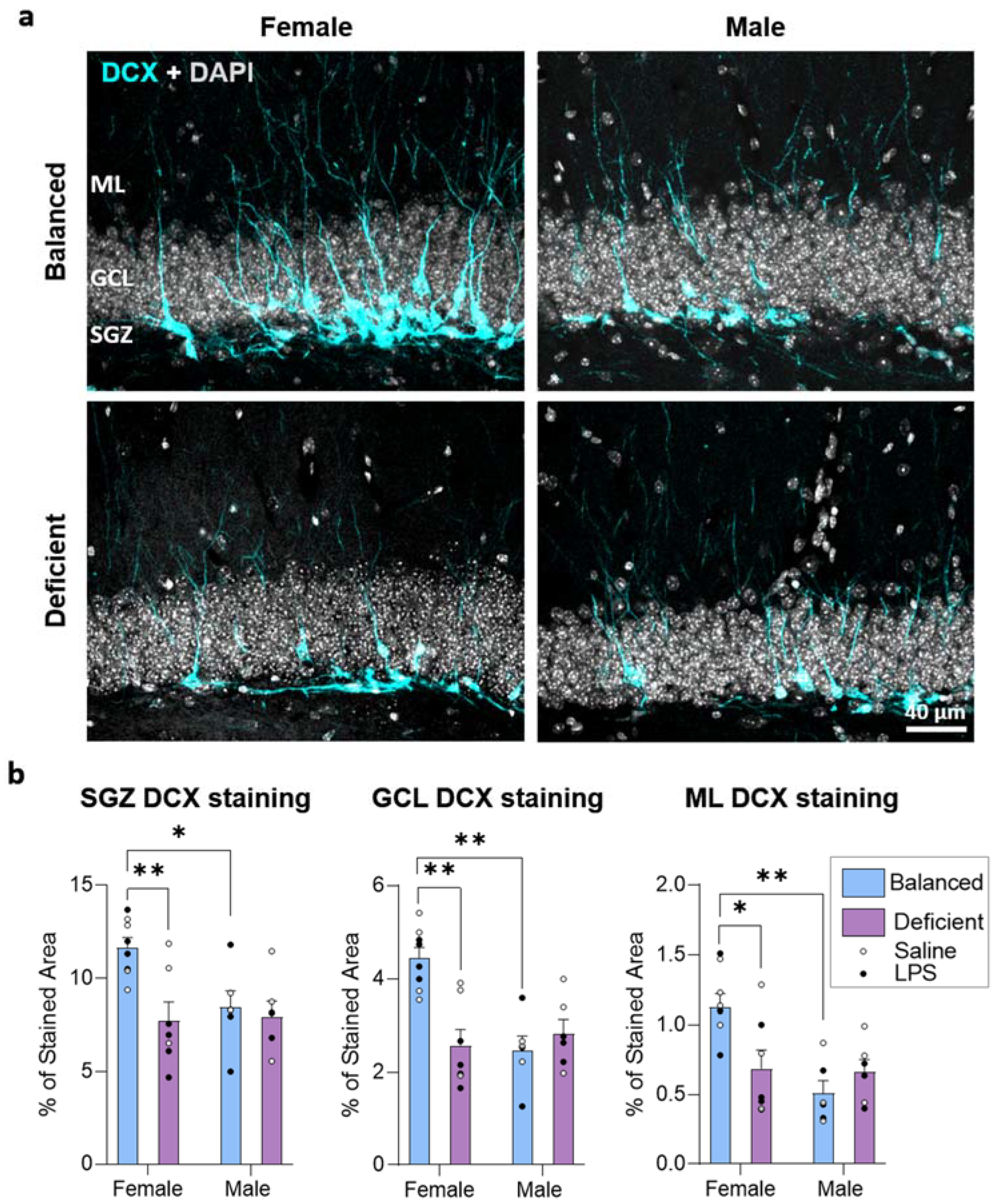 Ijms 23 03399 g005 550