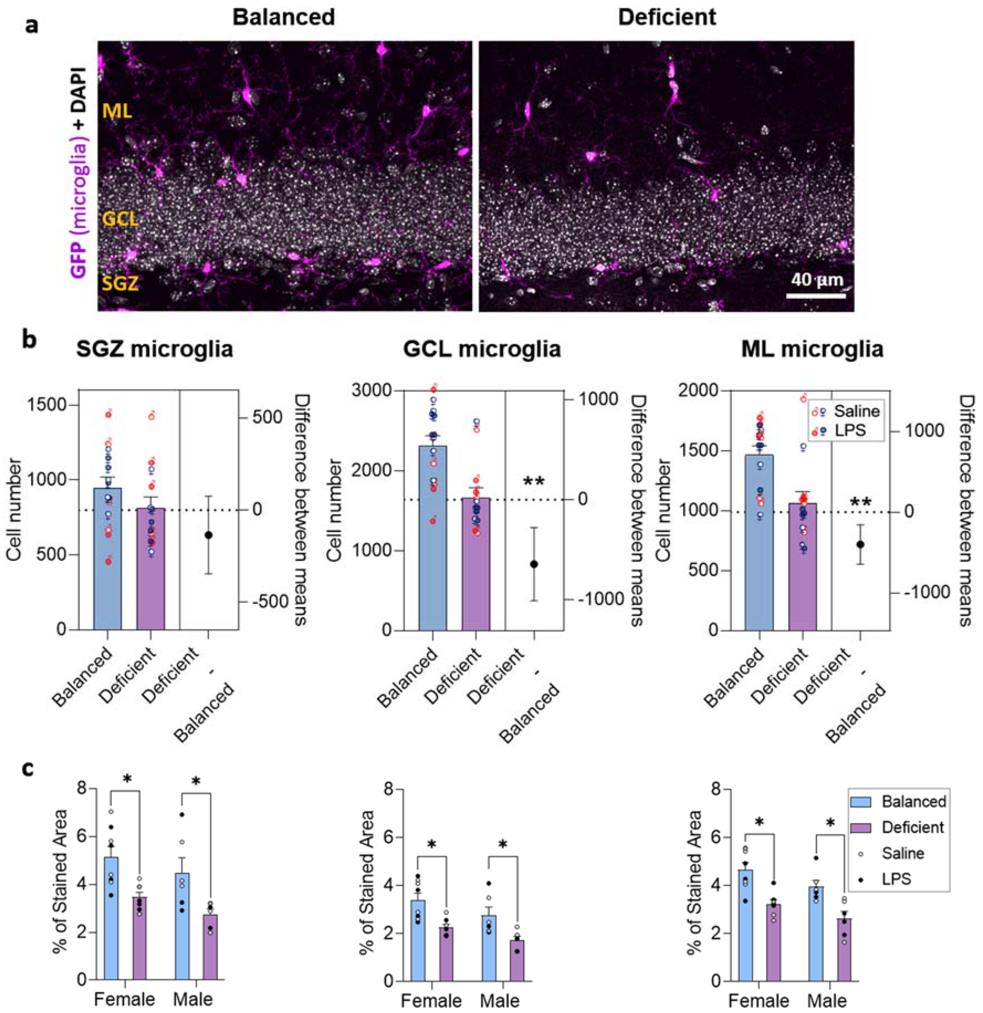 Ijms 23 03399 g006 550