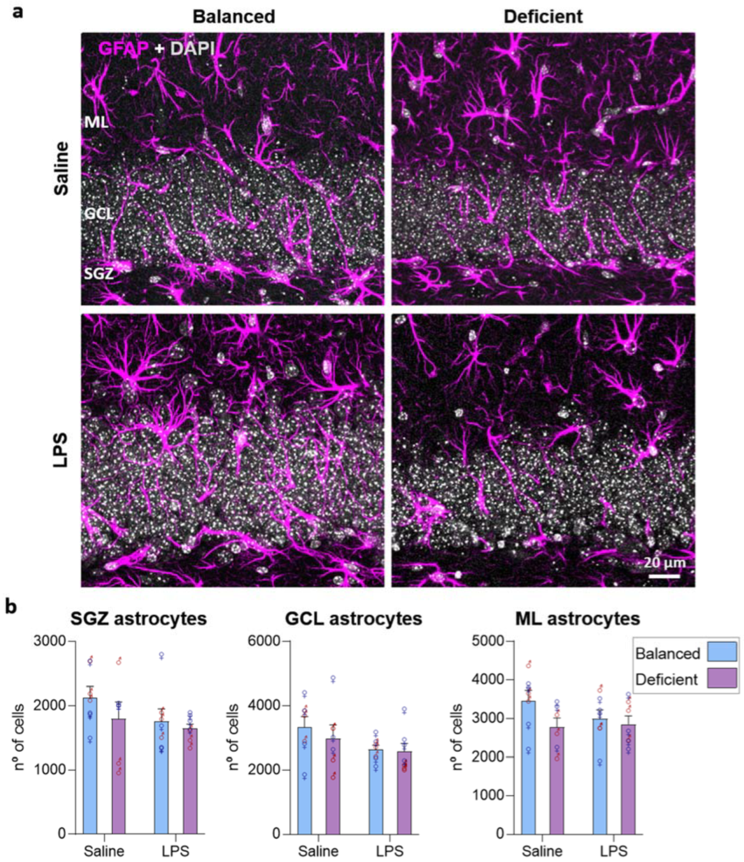 Ijms 23 03399 g008 550