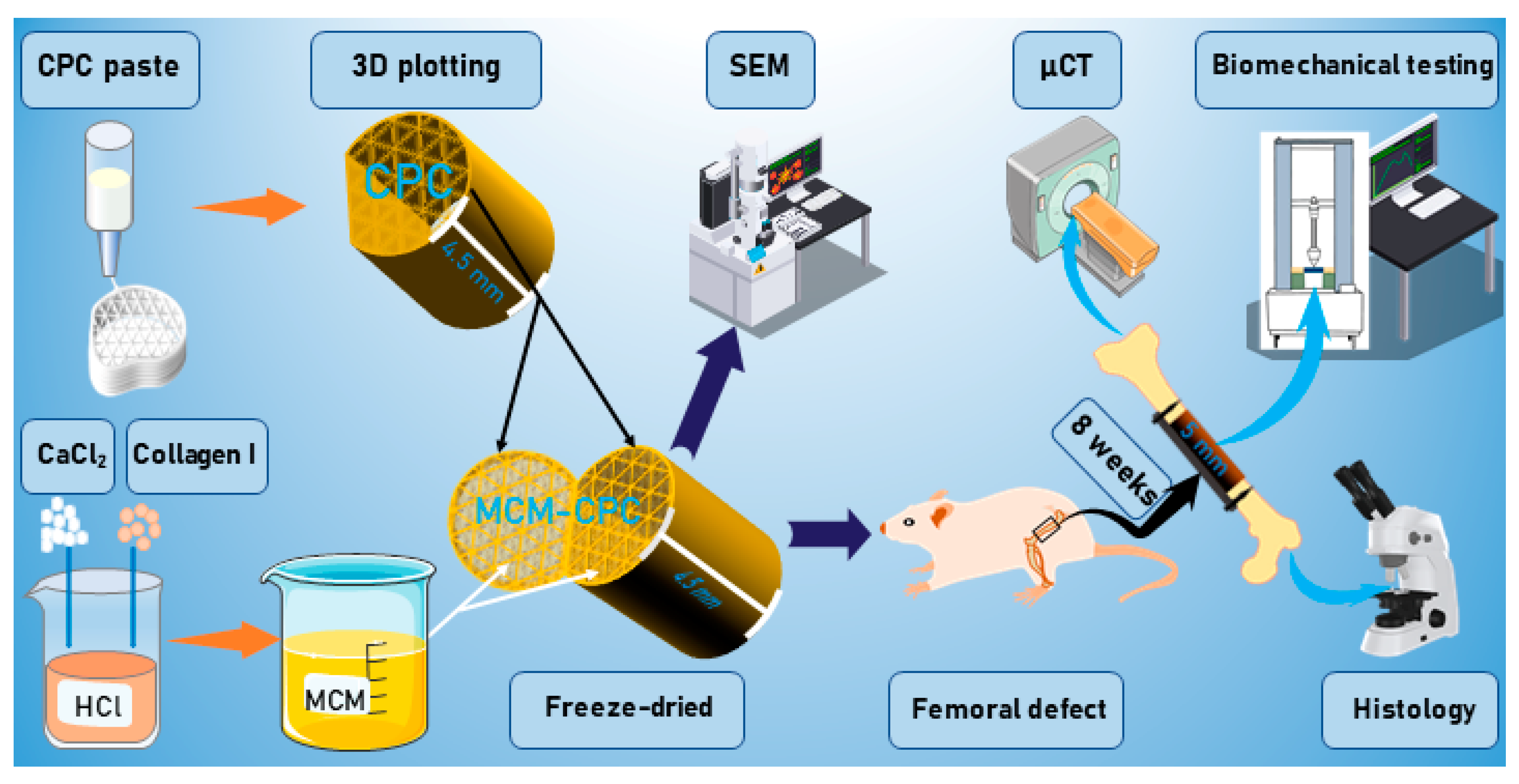 Ijms 23 03400 g001 550