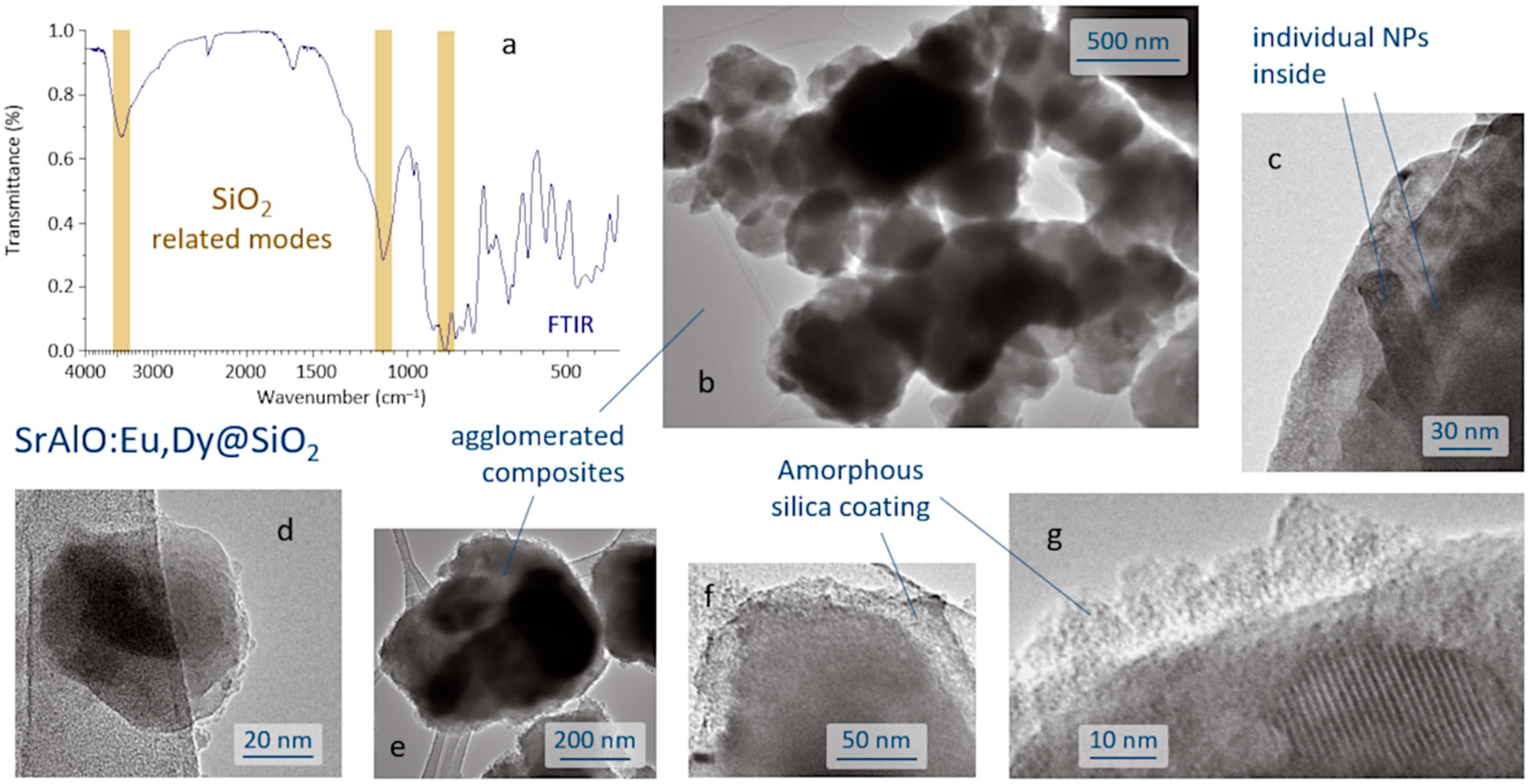 Ijms 23 03410 g003 550
