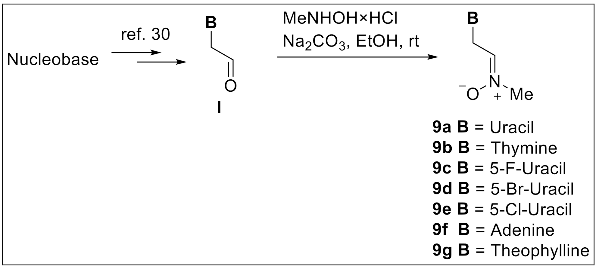 Ijms 23 03411 sch001