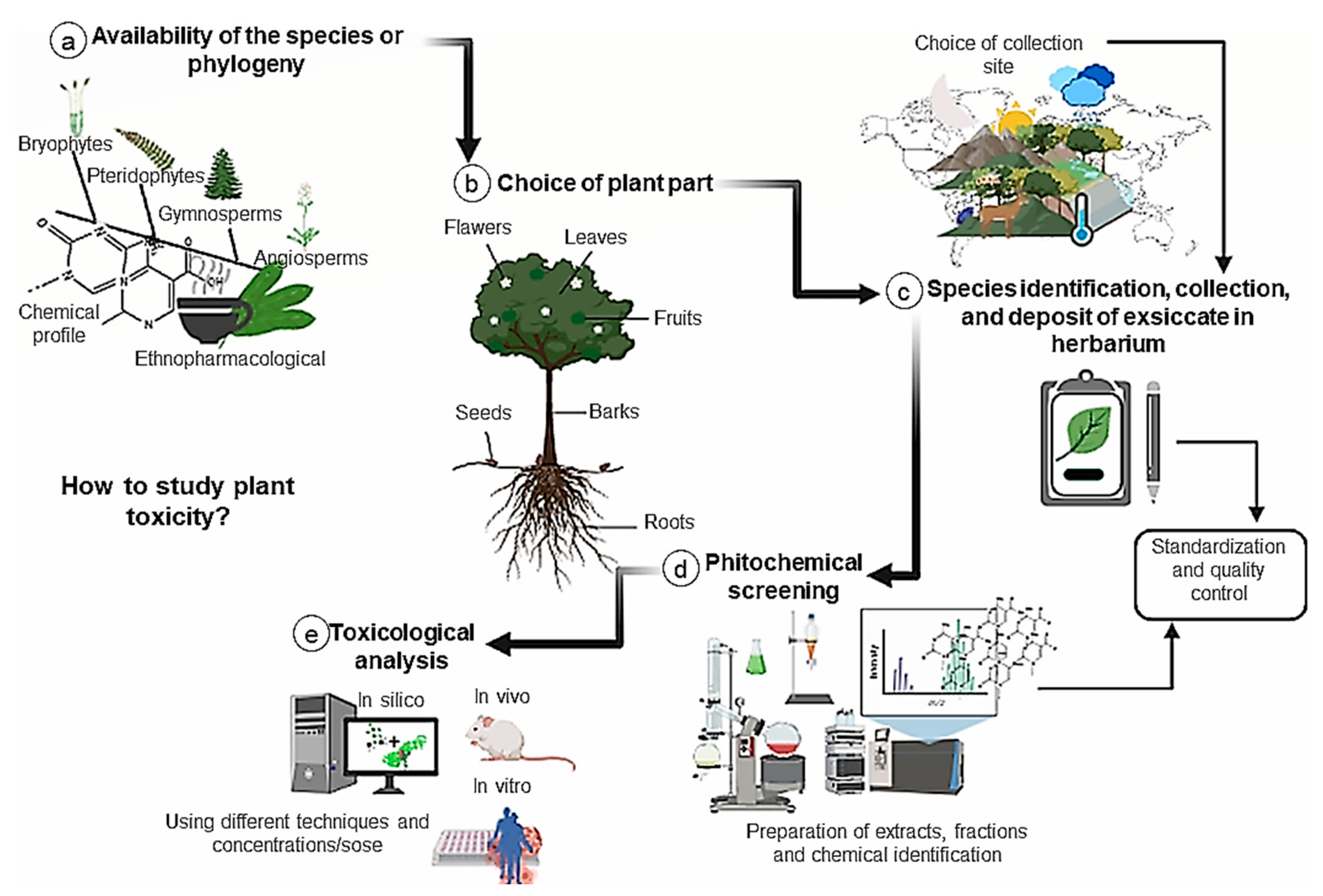Ijms 23 03413 g005 Ijms 23 03413 g005