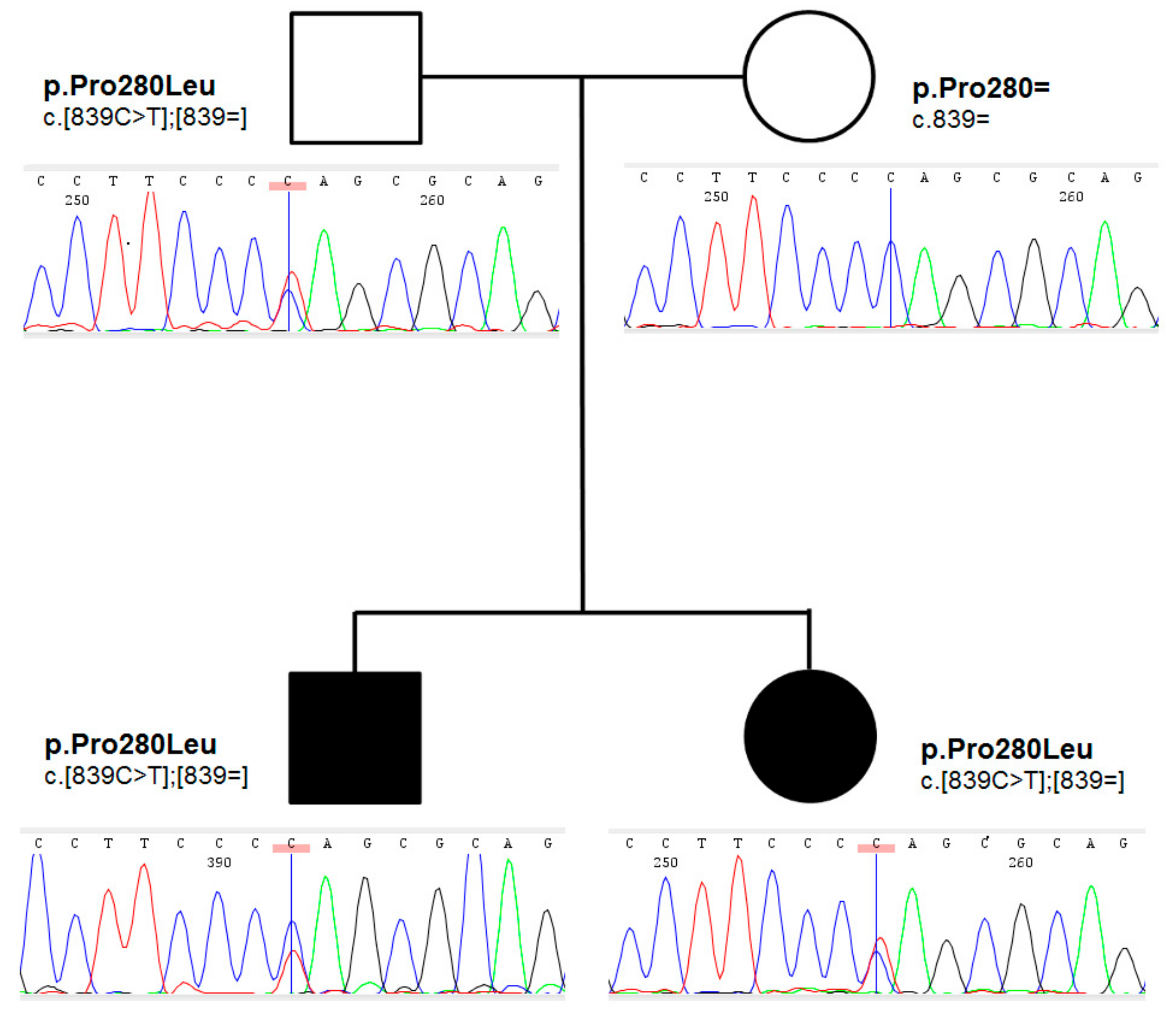 Ijms 23 03414 g002 550