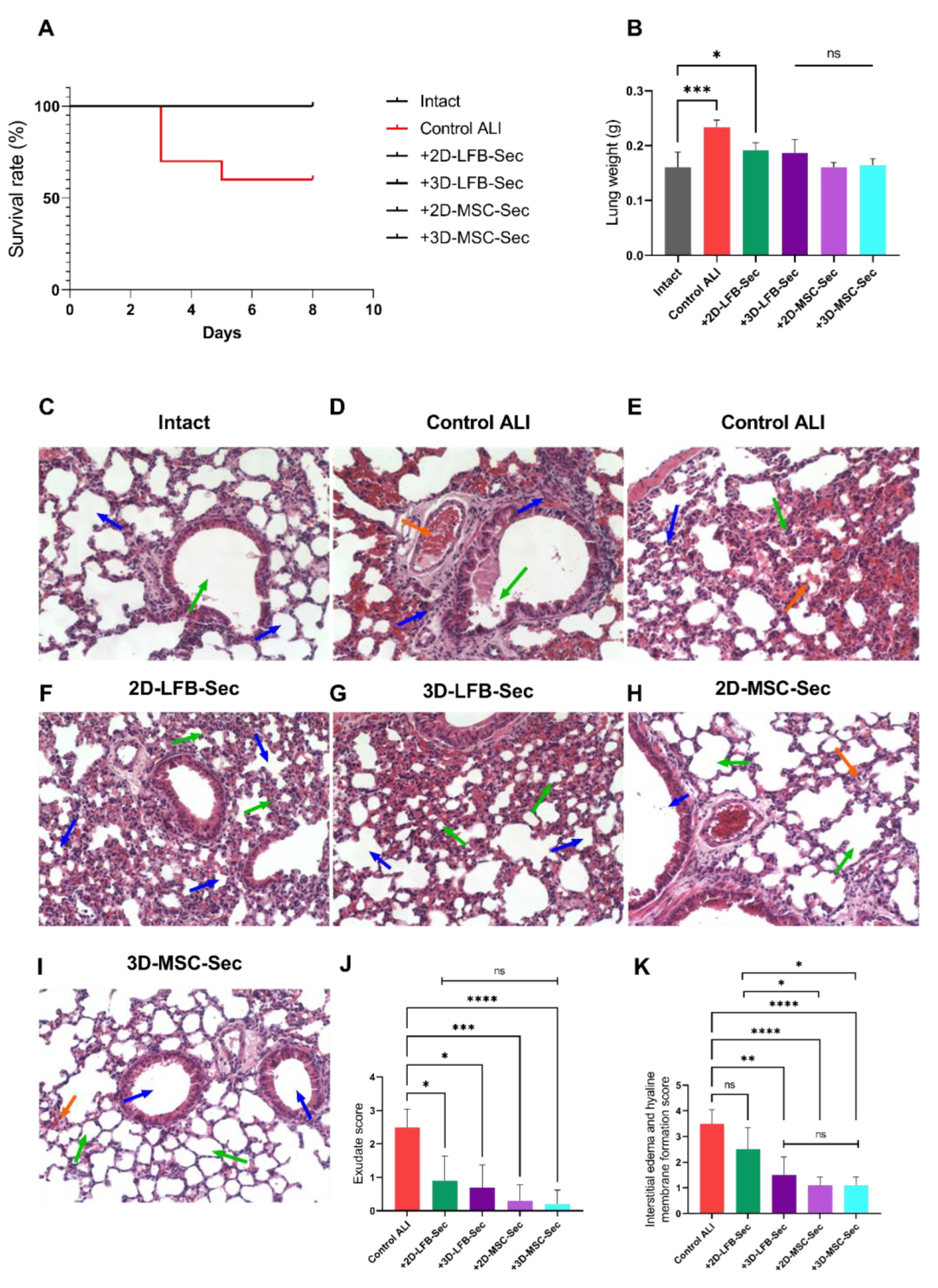 Ijms 23 03417 g006 550
