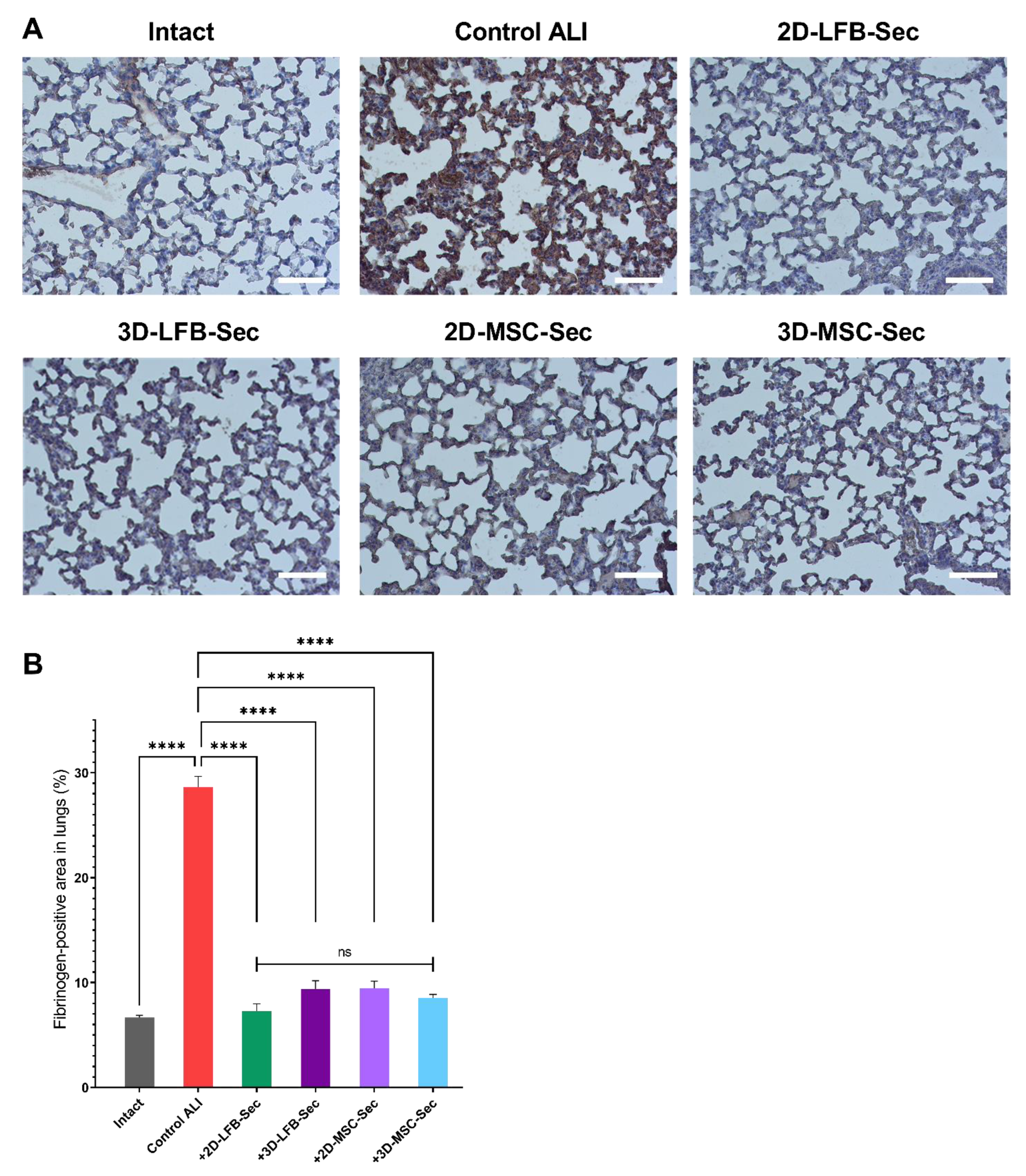 Ijms 23 03417 g007 550