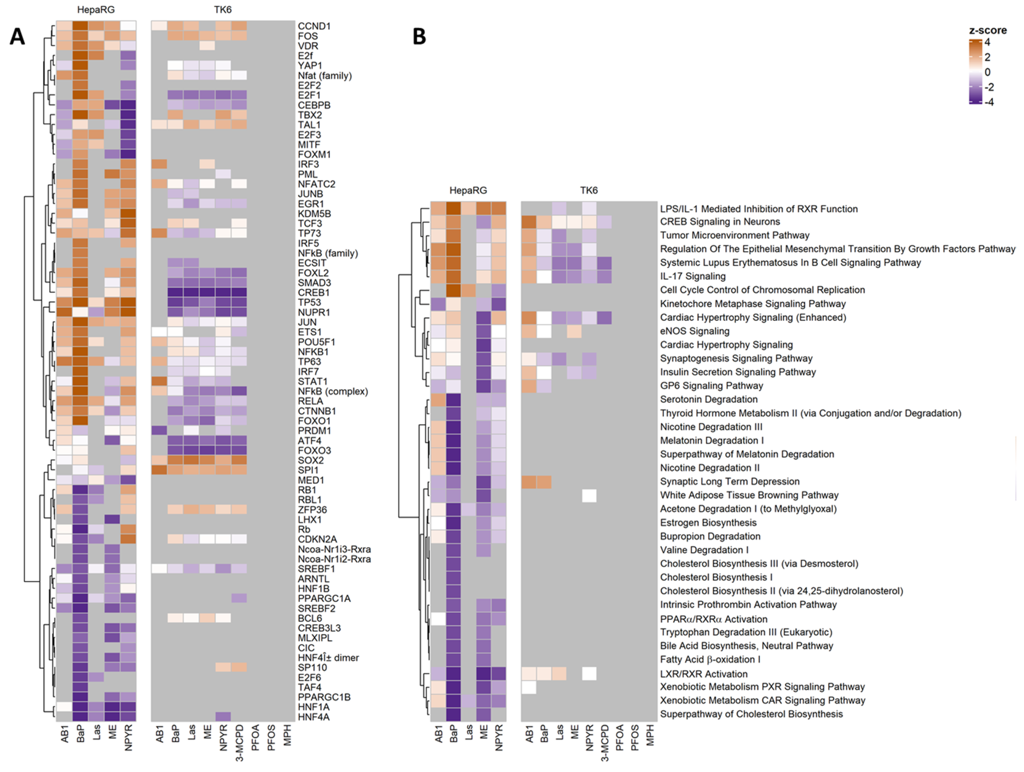 Comparative Analysis of Transcriptional Responses to