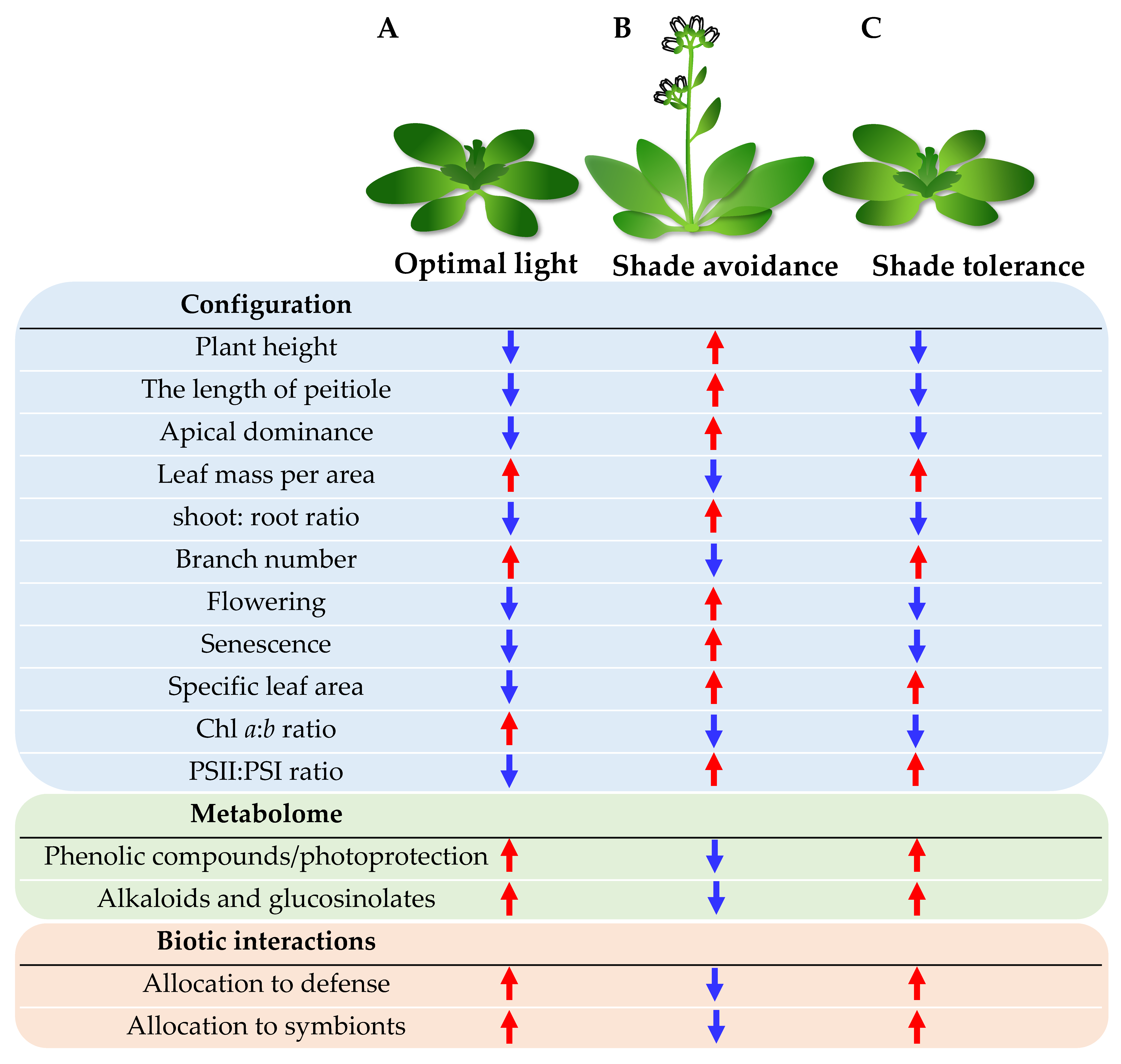 Ijms 23 03422 g002 550