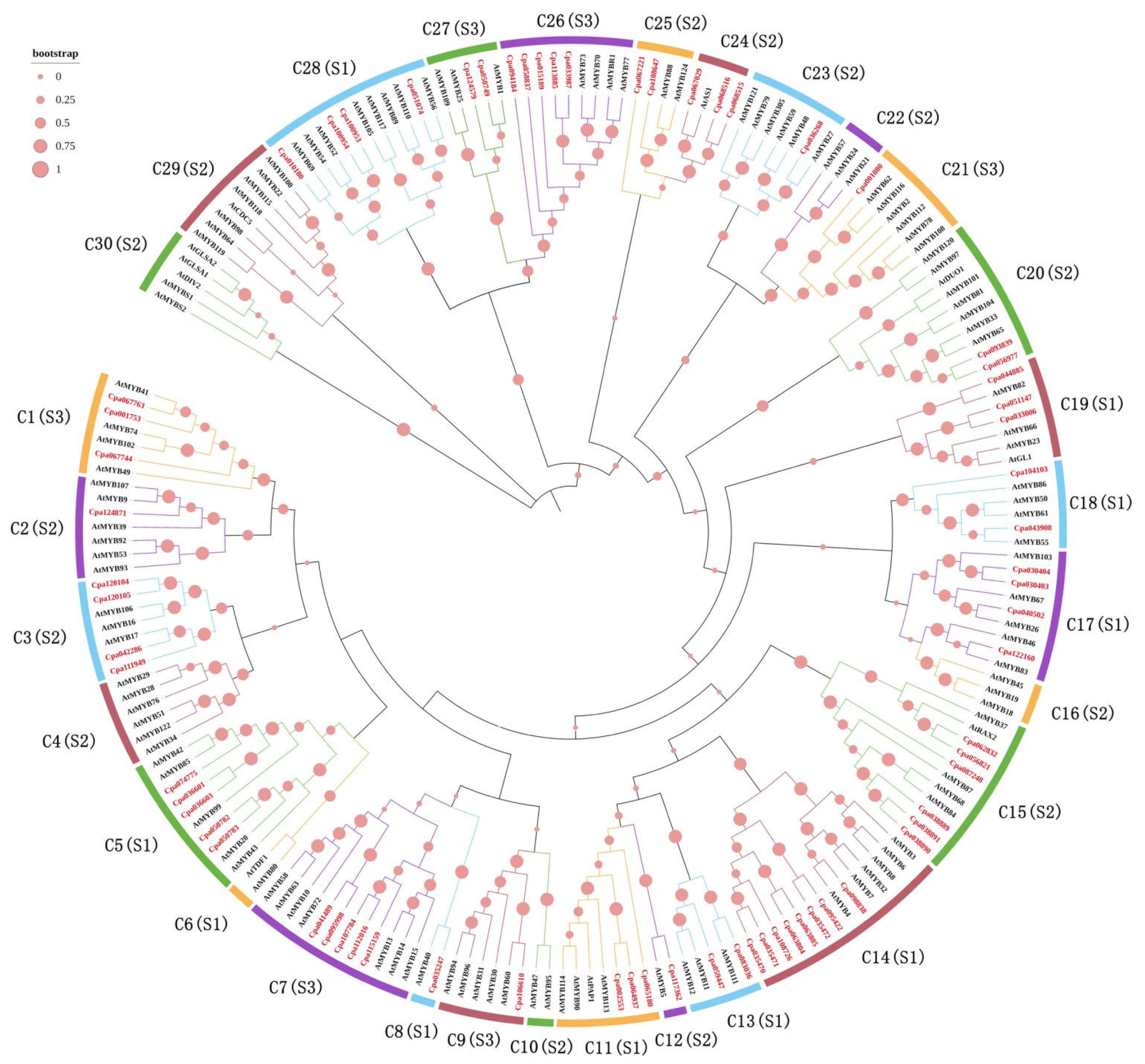 Ijms 23 03429 g001 550