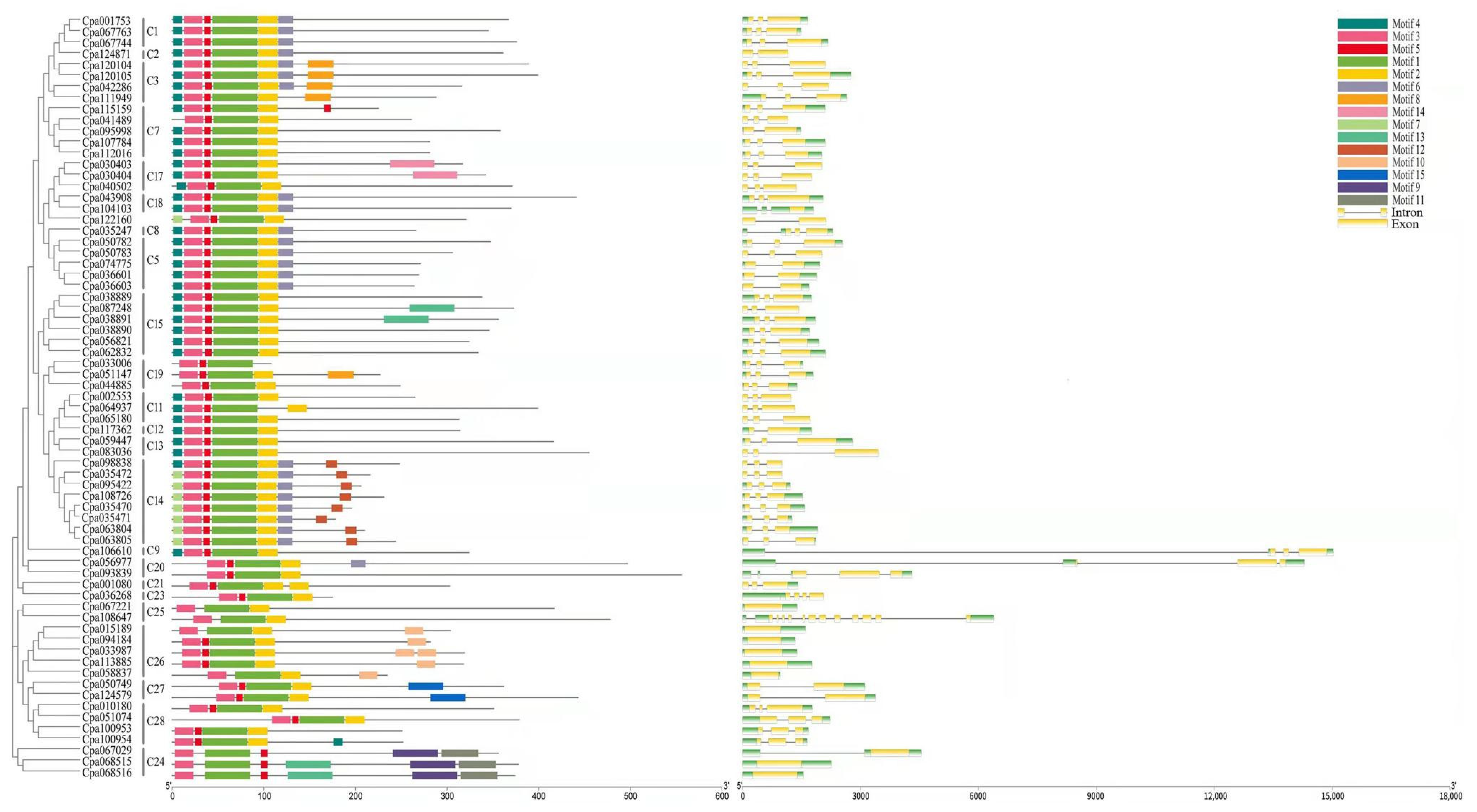 Ijms 23 03429 g003 550