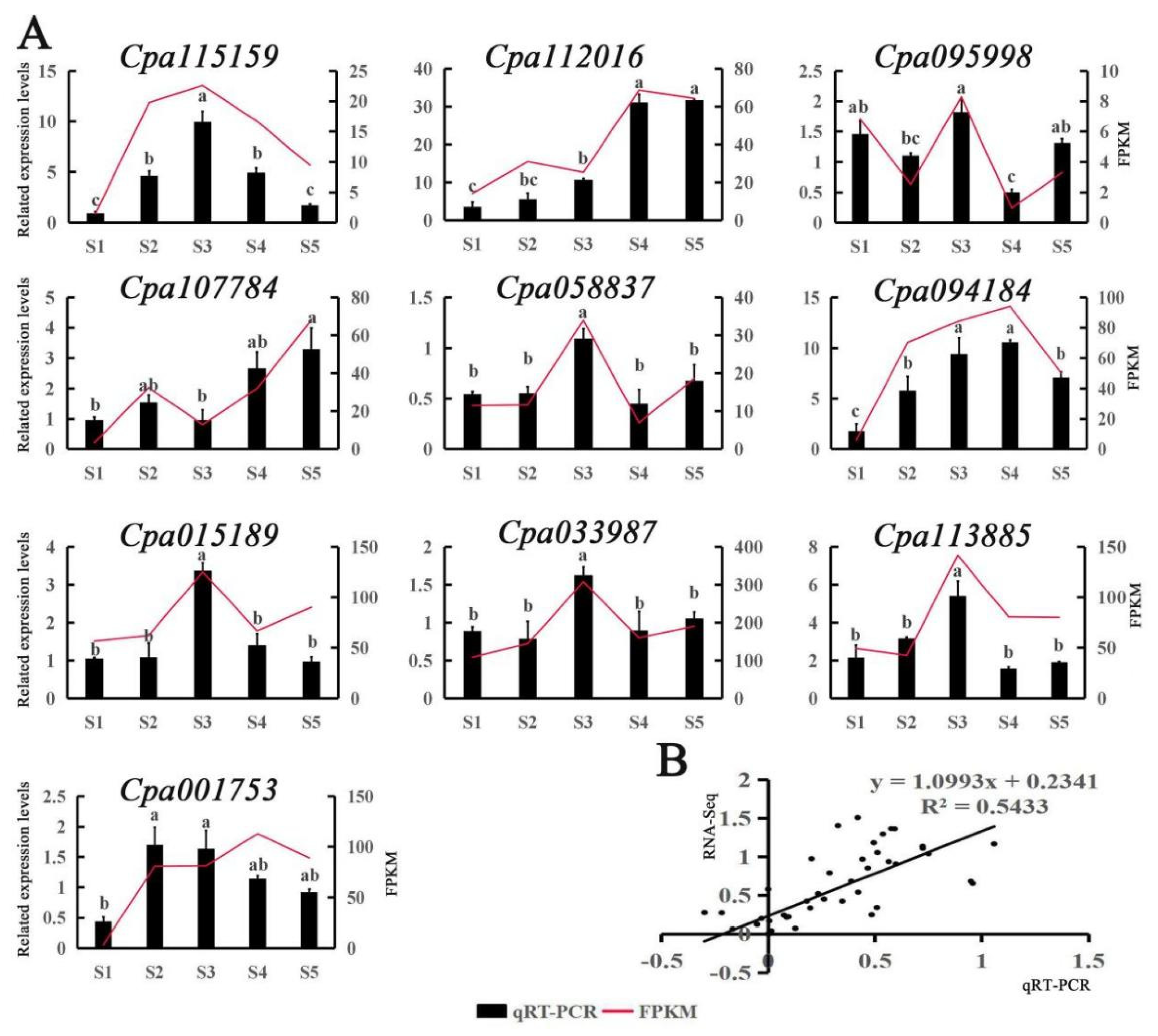 Ijms 23 03429 g006 550