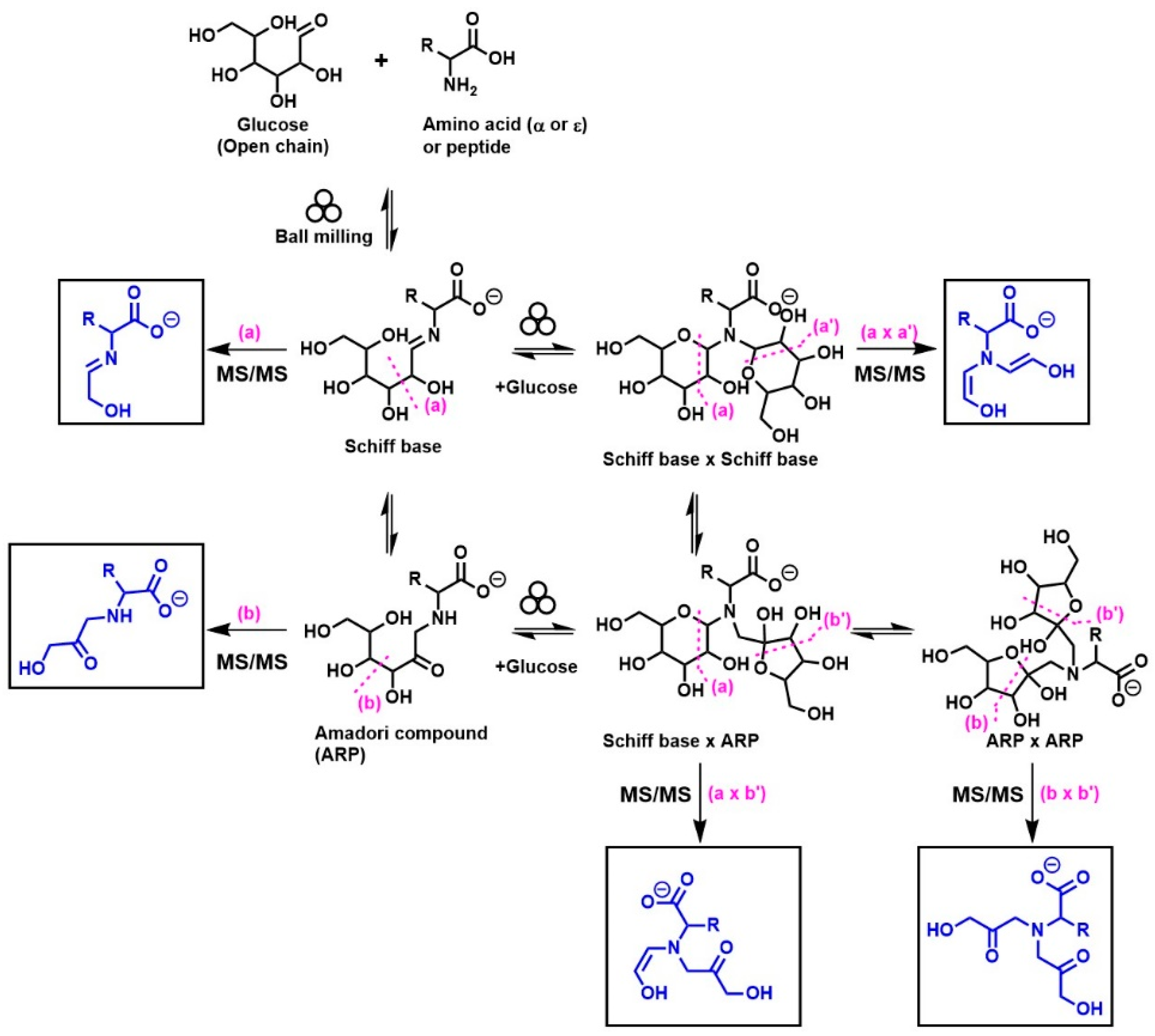 Ijms 23 03430 g001 550