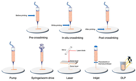 Ijms 23 03432 g001 550