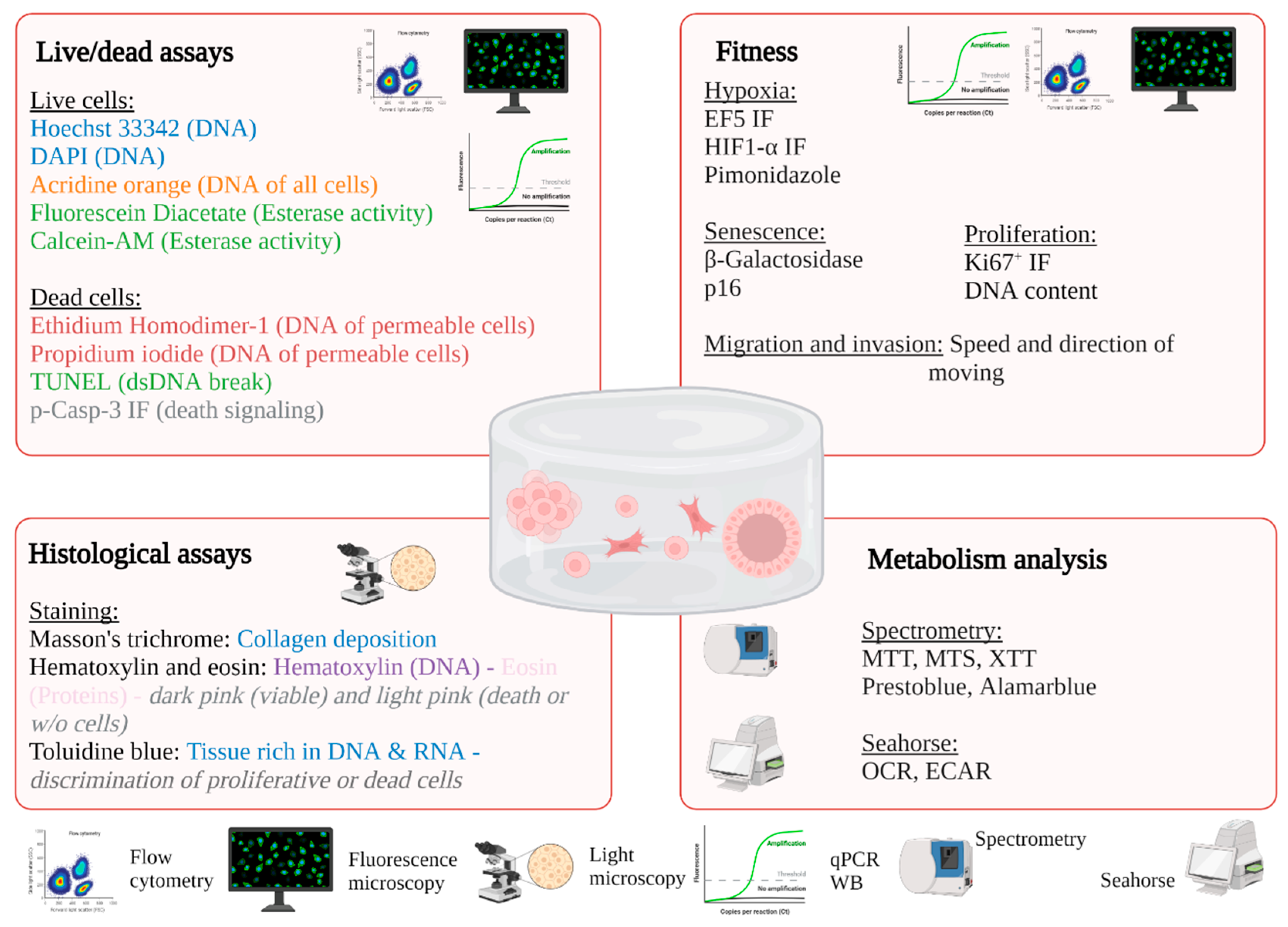 Ijms 23 03432 g003 550