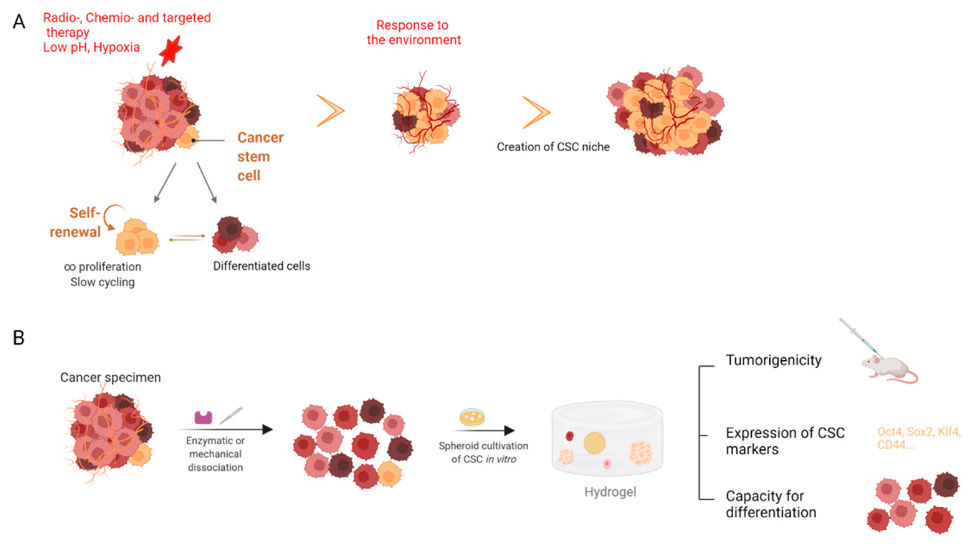 Ijms 23 03432 g006 550