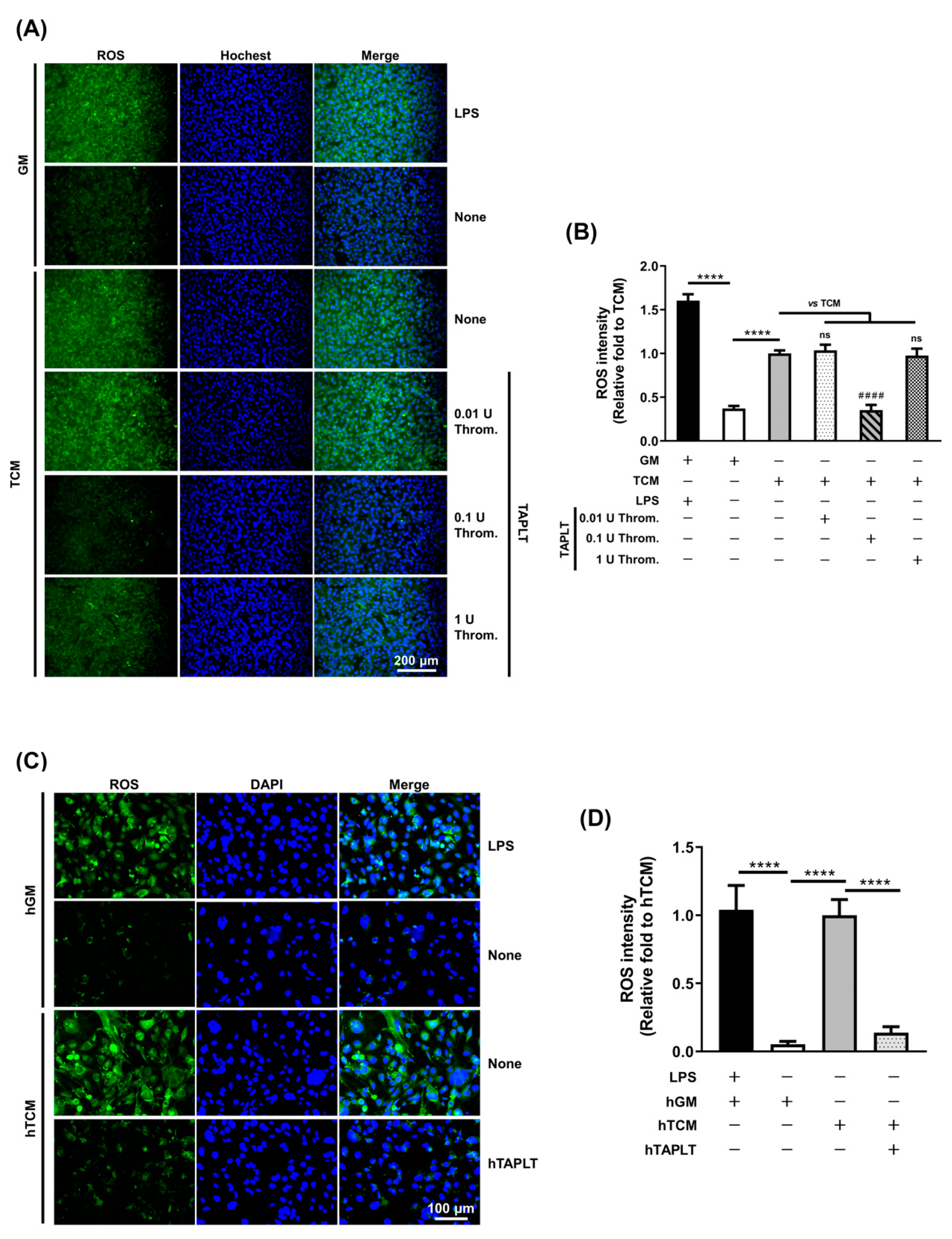 Ijms 23 03433 g001 Ijms 23 03433 g001