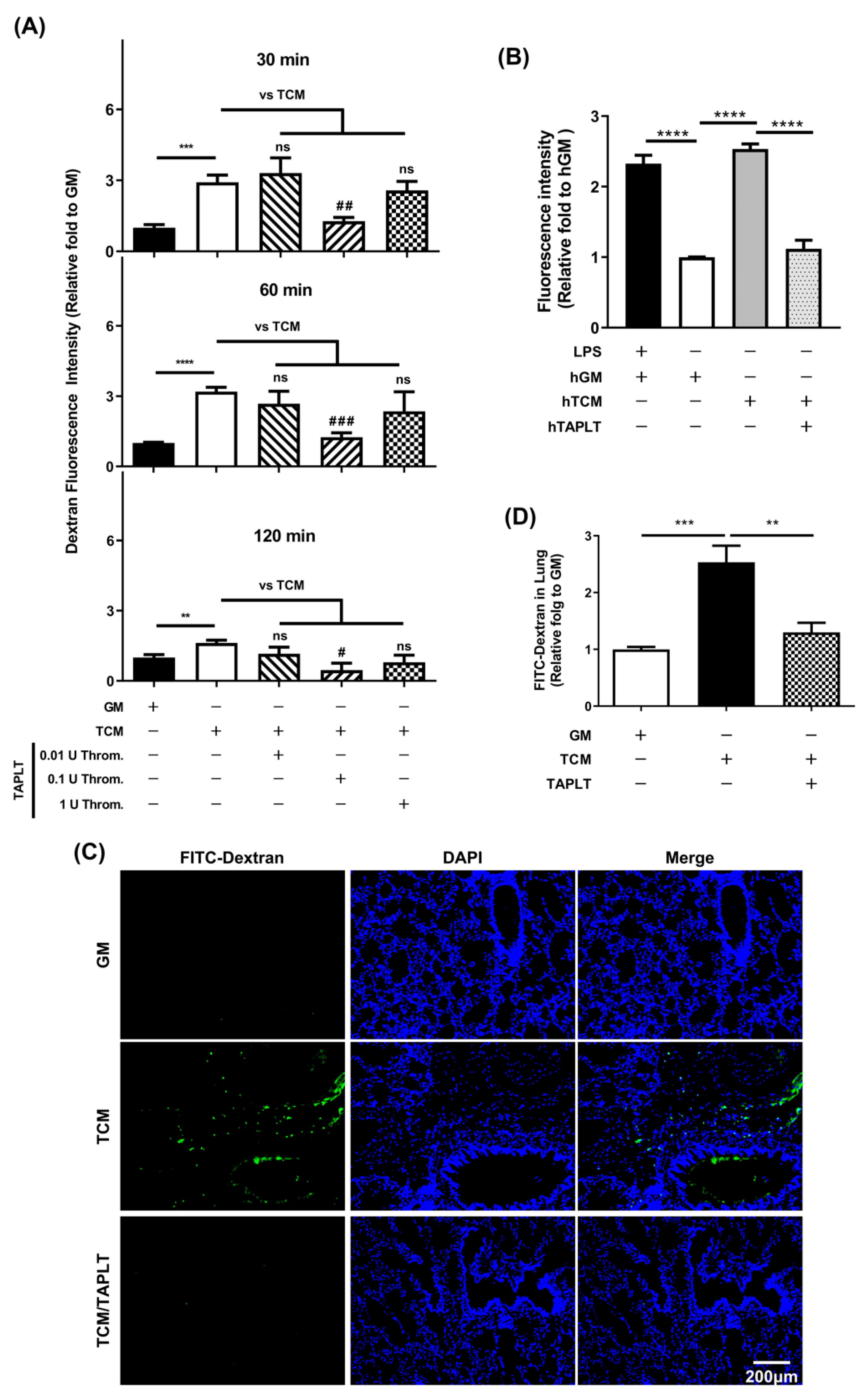 Ijms 23 03433 g002 Ijms 23 03433 g002