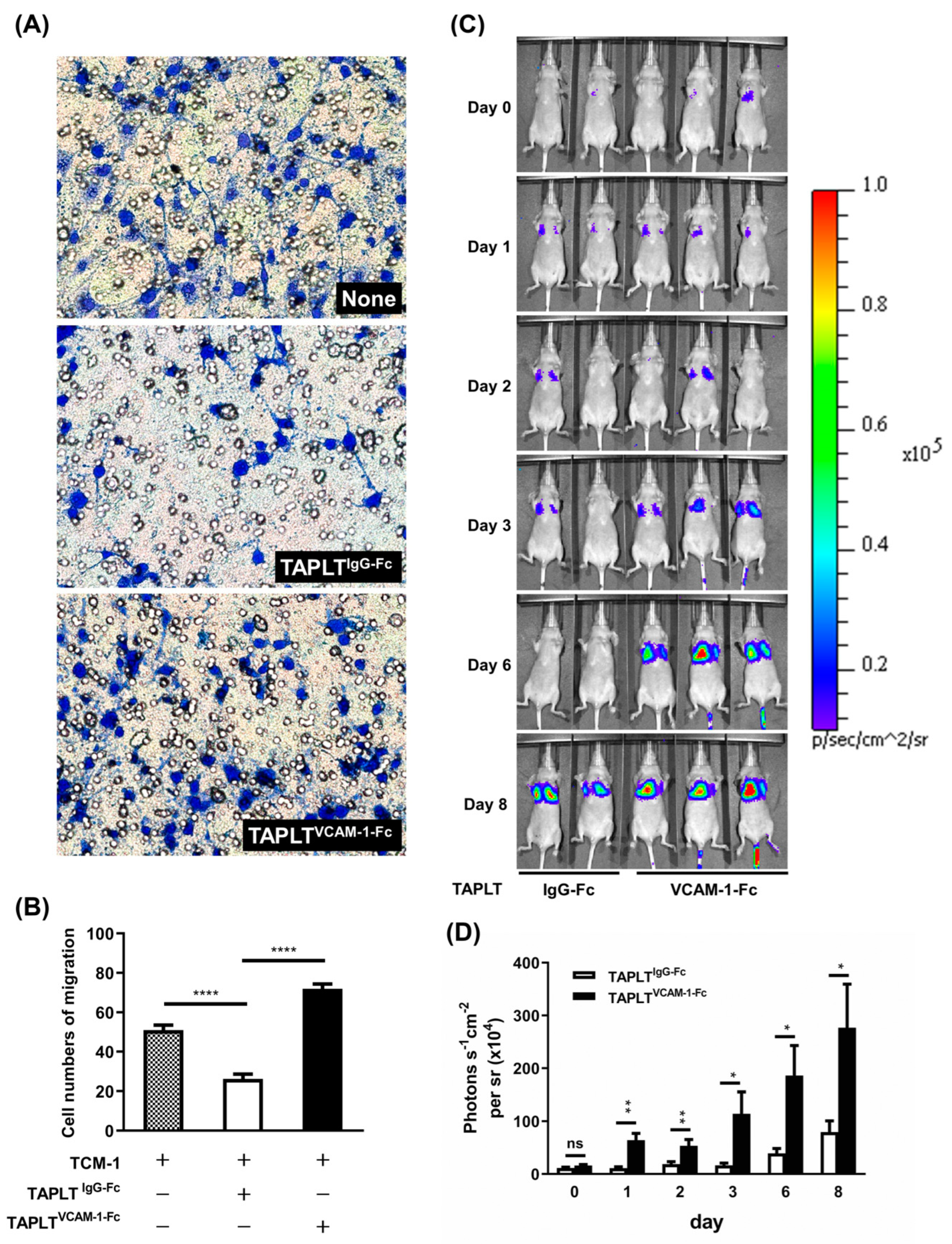 Ijms 23 03433 g008 Ijms 23 03433 g008