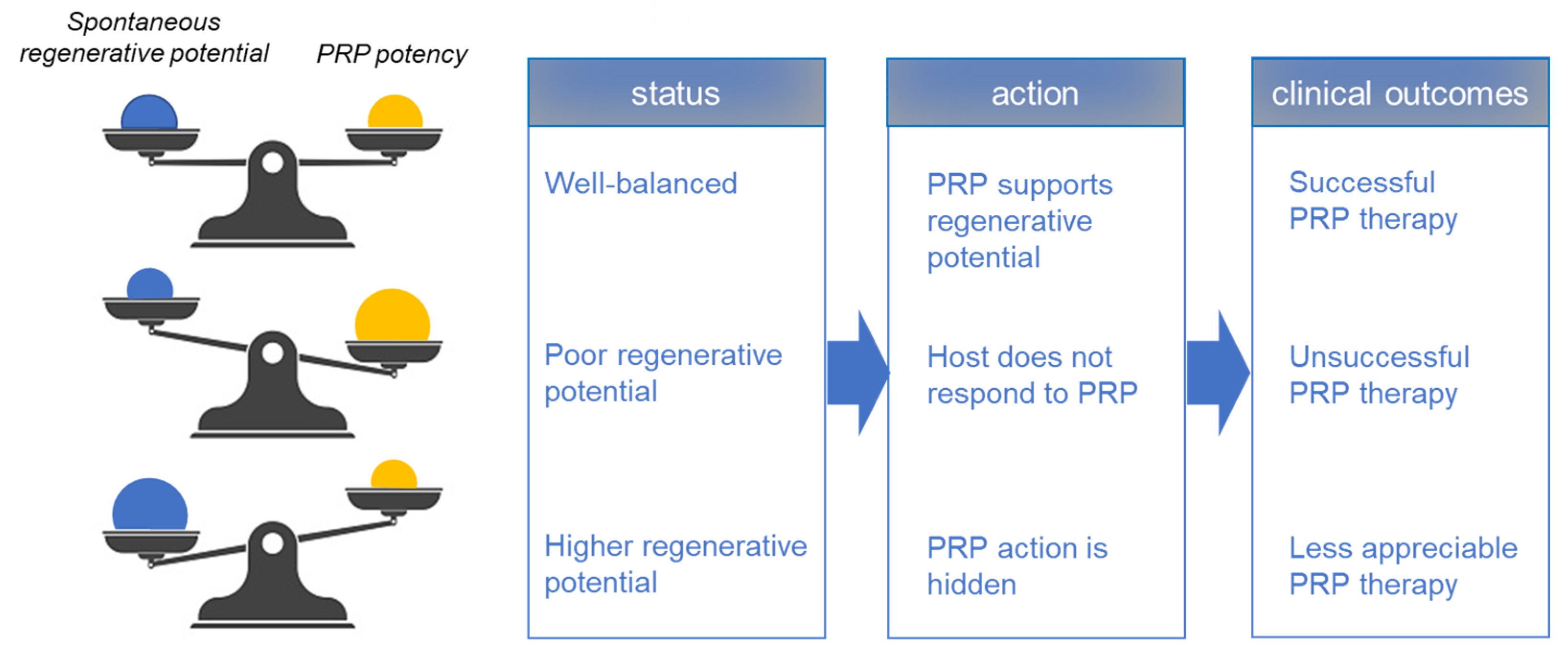 Ijms 23 03437 g002 550