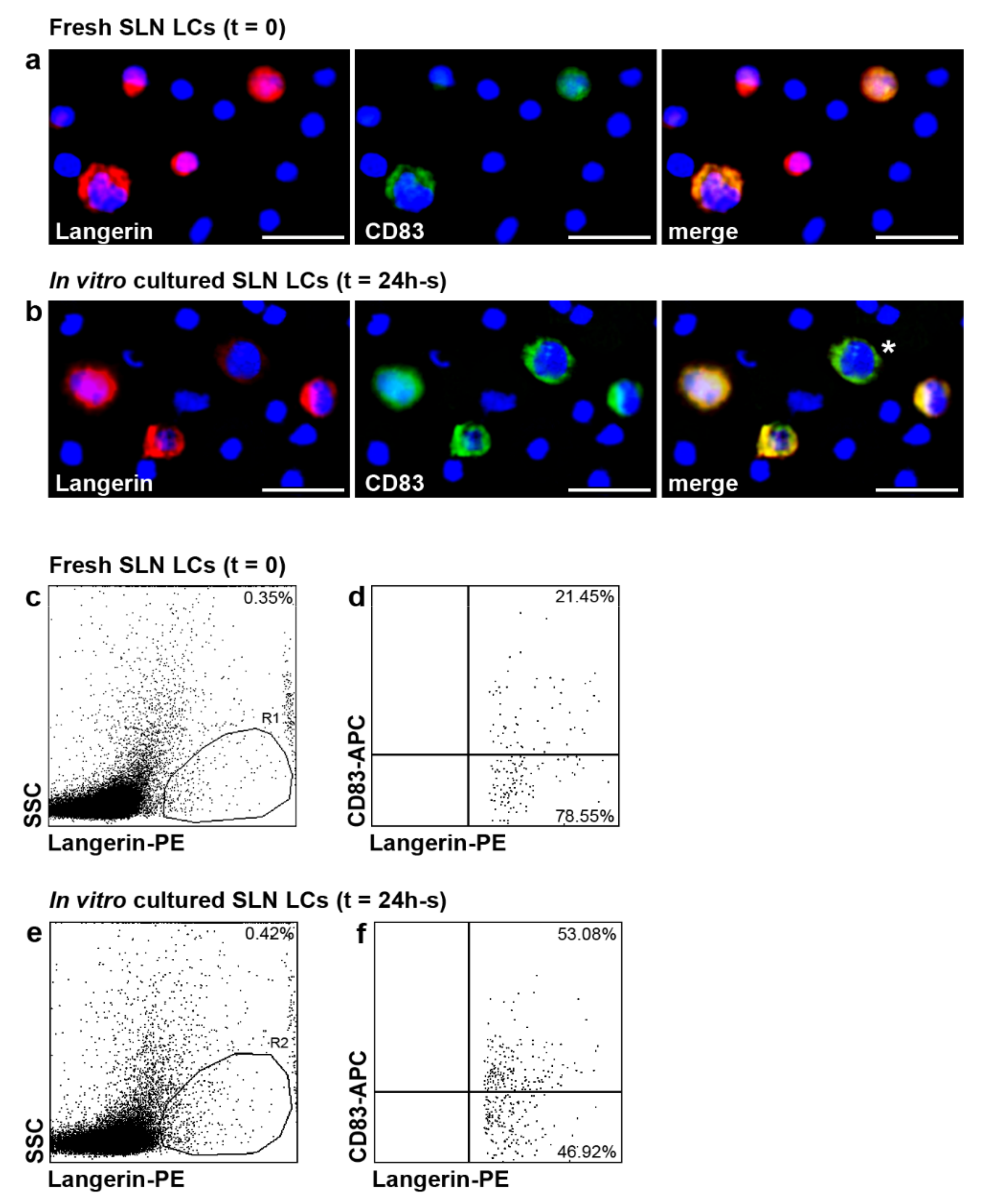 Ijms 23 03441 g004 550