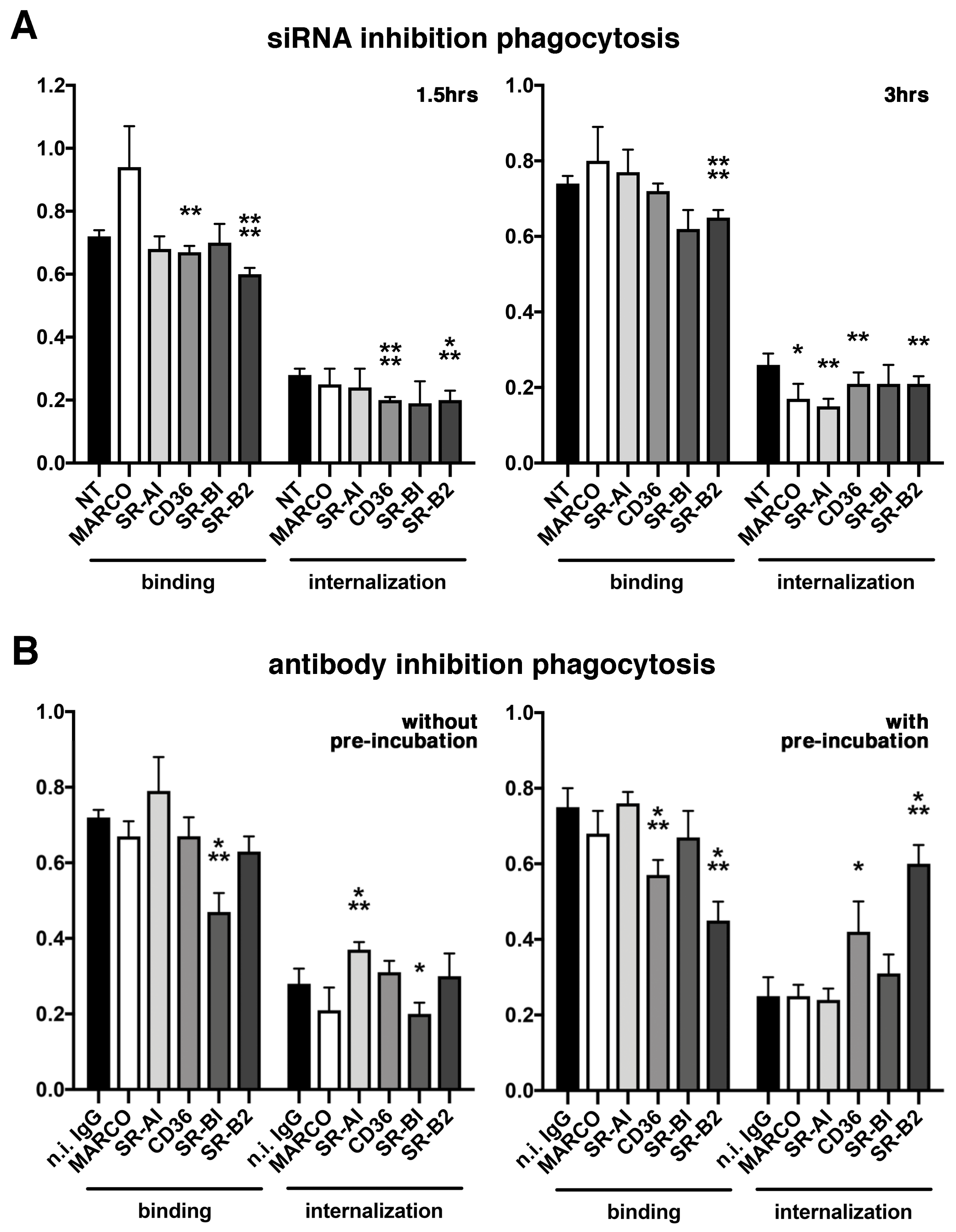Ijms 23 03445 g004 Ijms 23 03445 g004