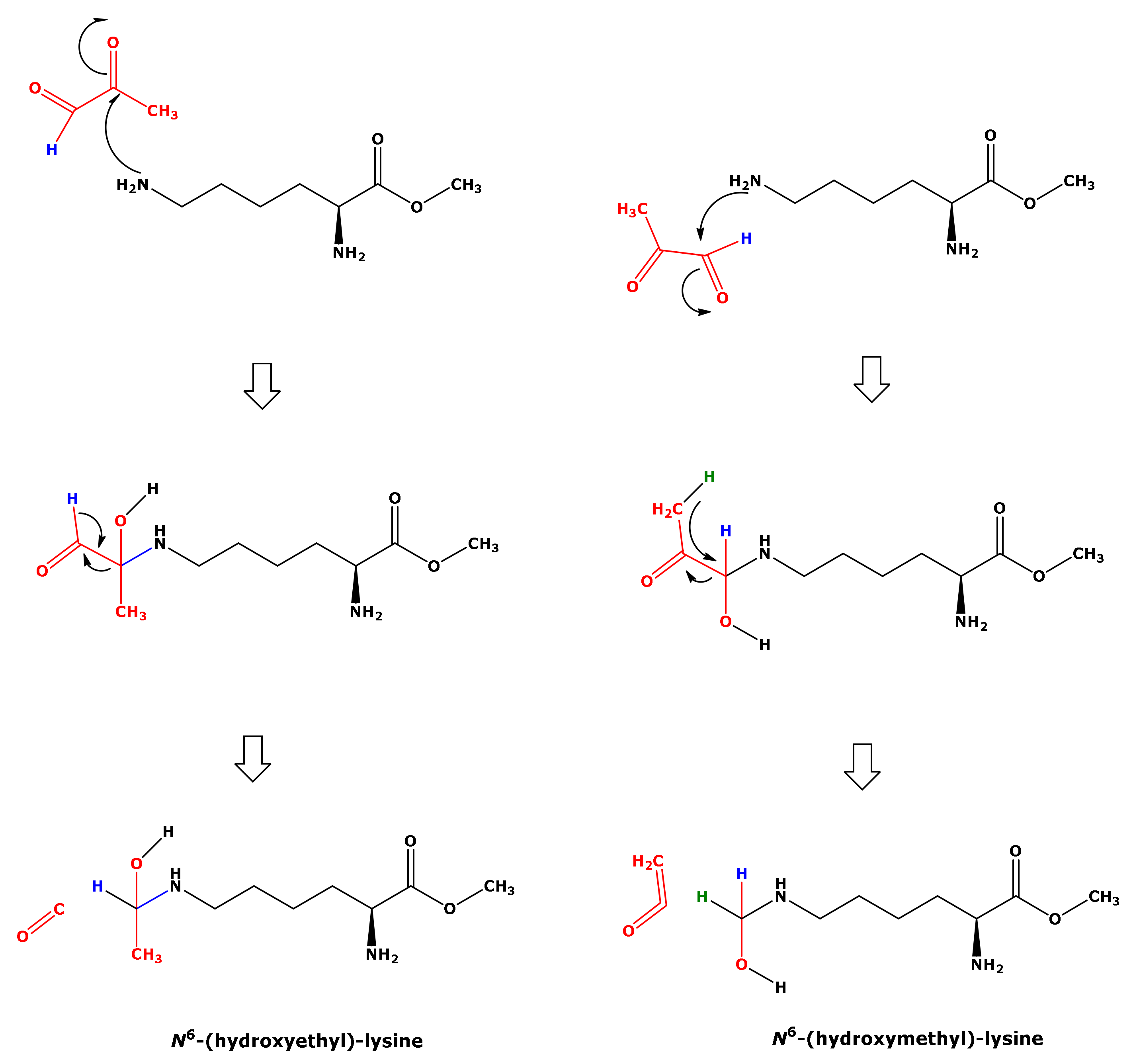 Ijms 23 03446 g008 550