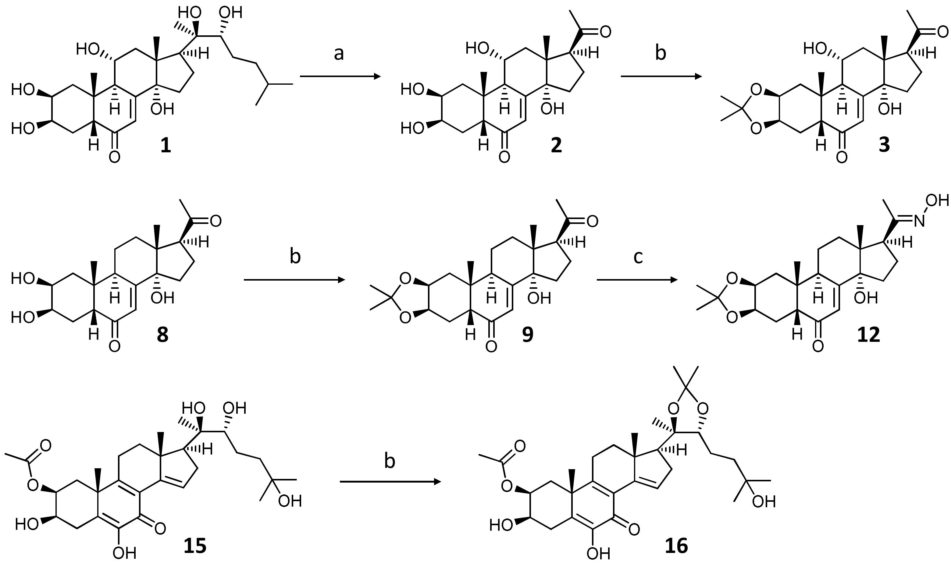 Ijms 23 03447 g001 Ijms 23 03447 g001