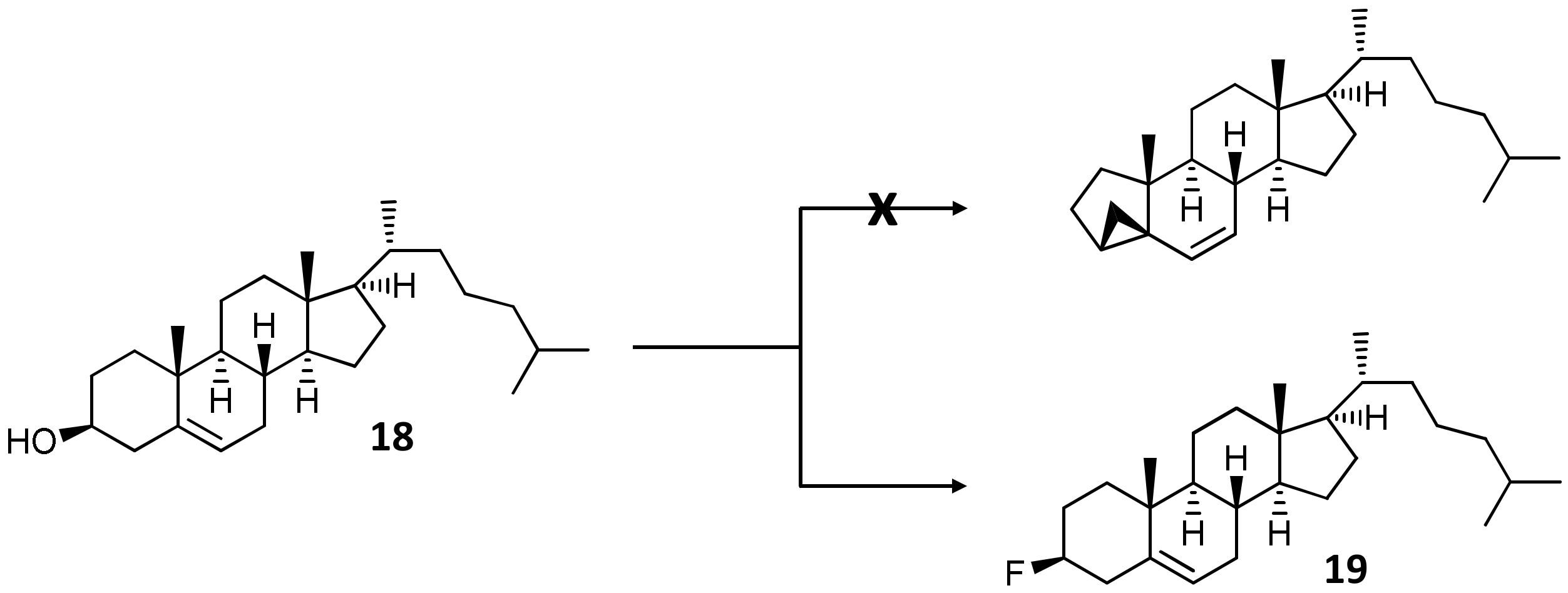 Ijms 23 03447 g005 Ijms 23 03447 g005