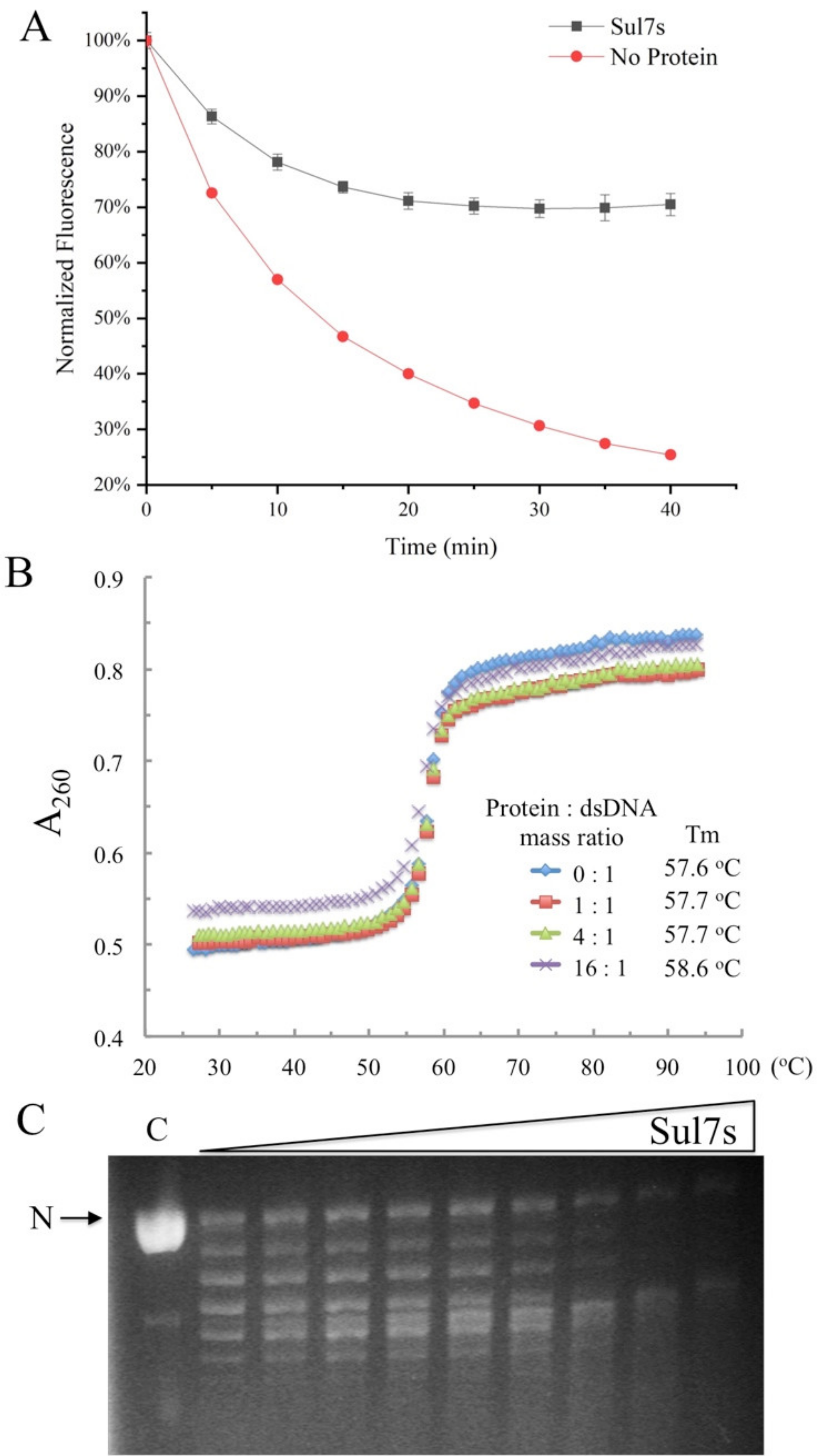 Ijms 23 03455 g003 Ijms 23 03455 g003