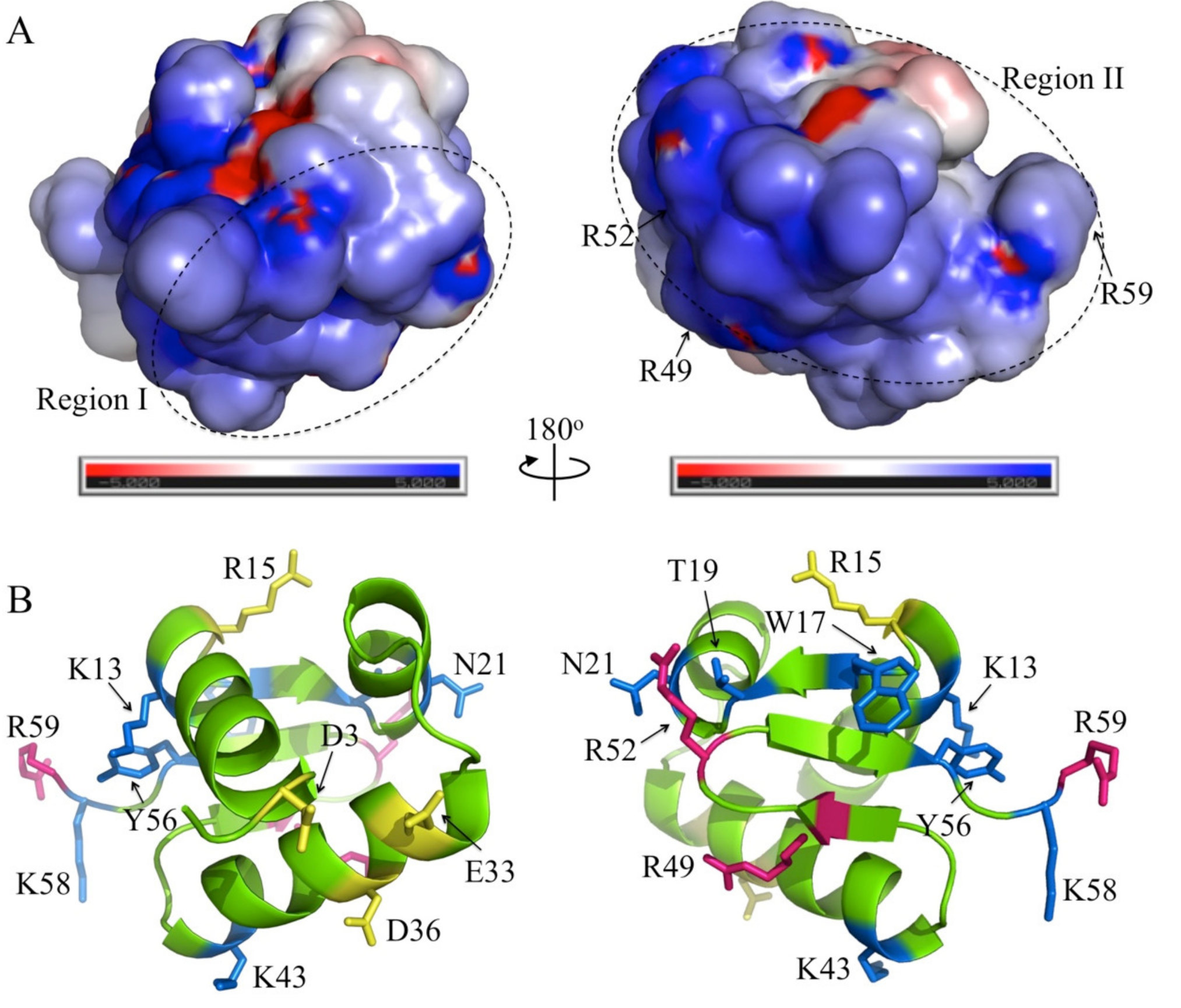 Ijms 23 03455 g006 Ijms 23 03455 g006