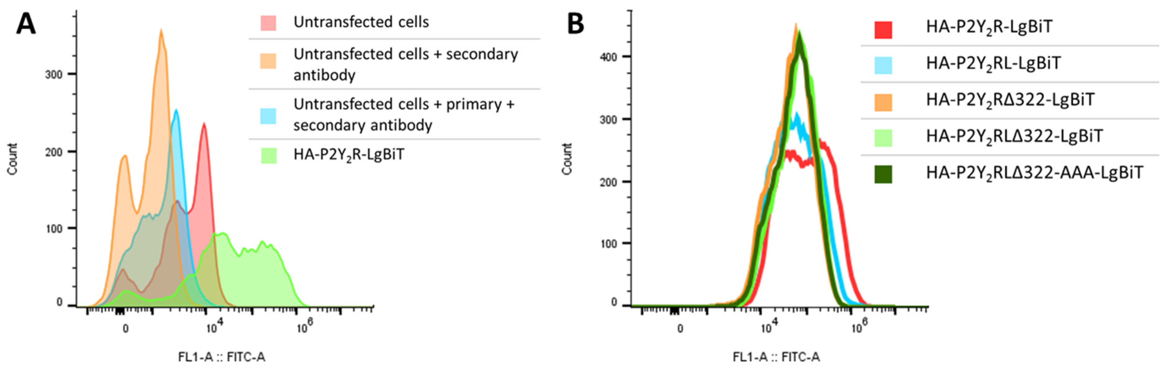 Ijms 23 03460 g004 550