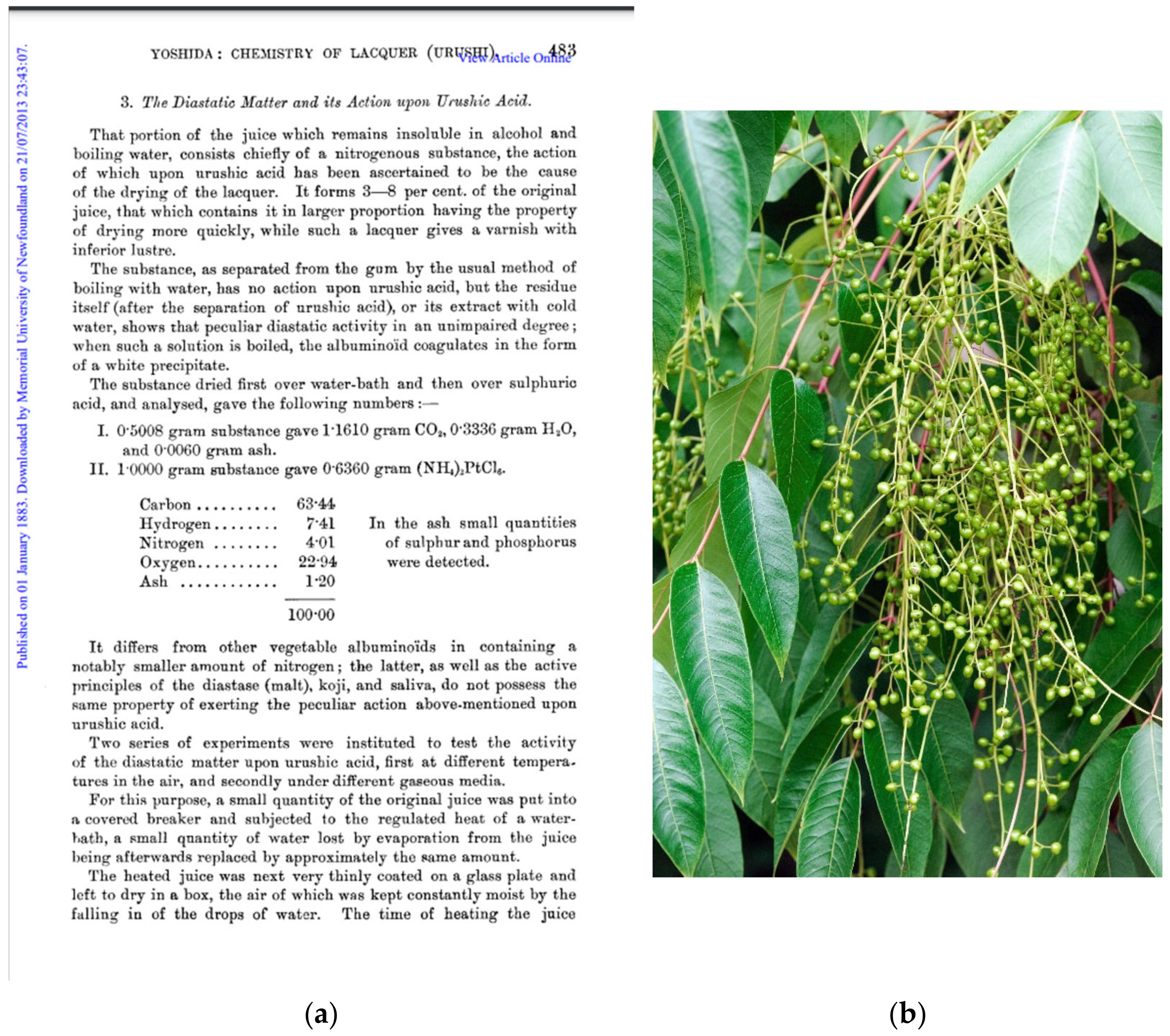 Ijms 23 03462 g001 550