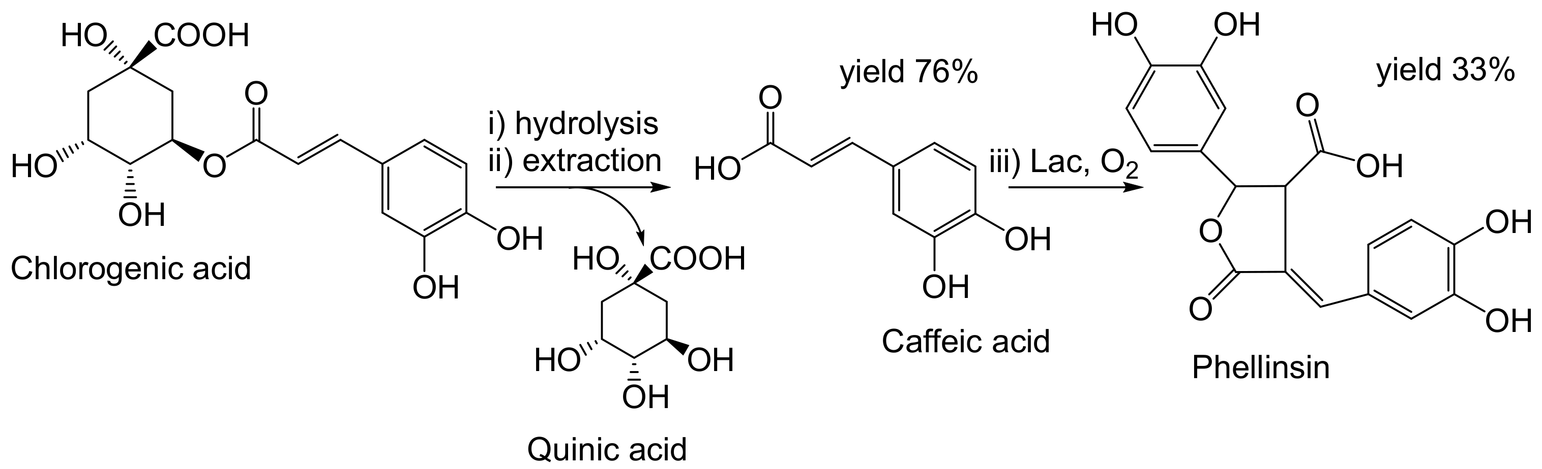 Ijms 23 03462 g005 550
