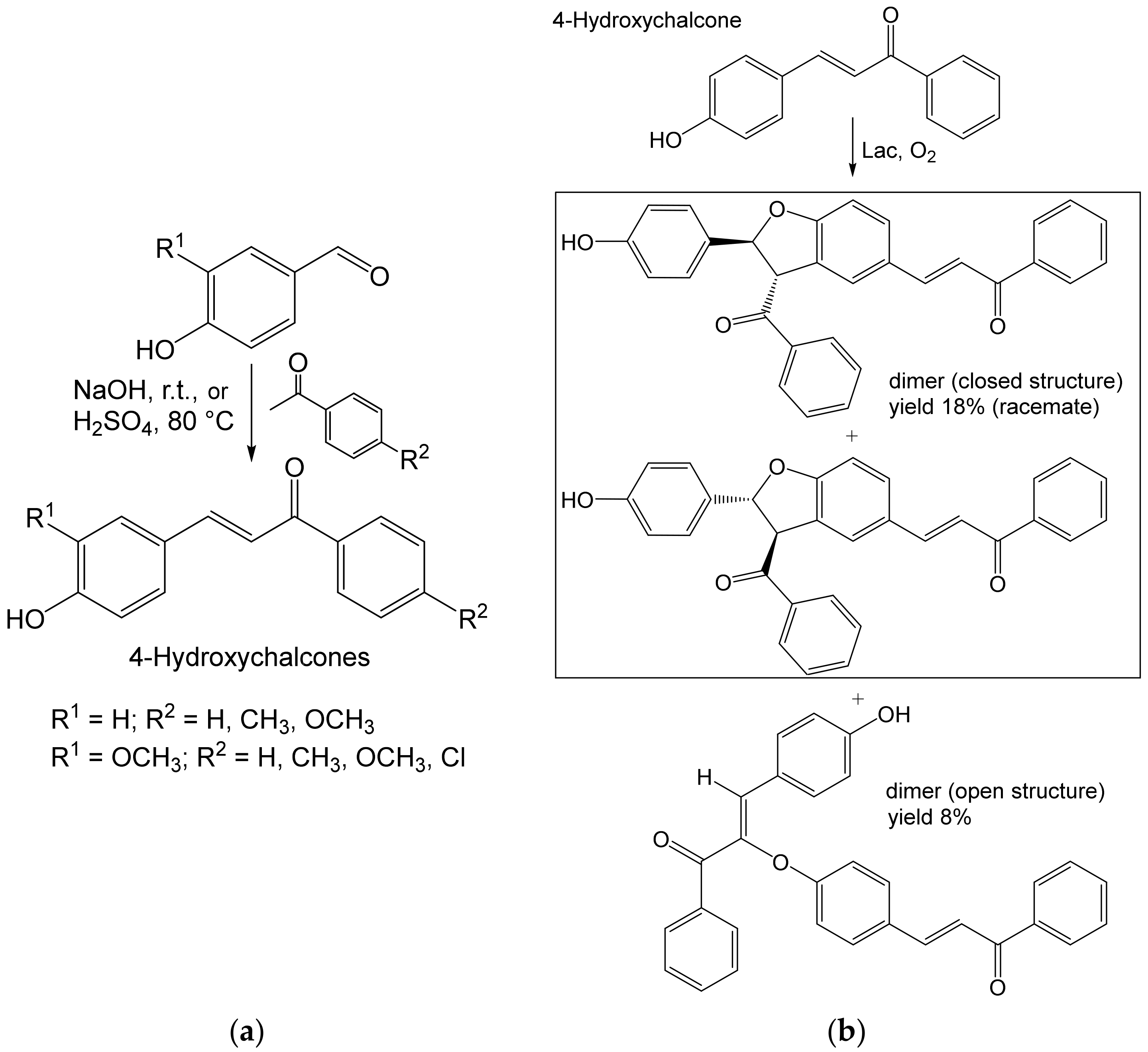 Ijms 23 03462 g006 550