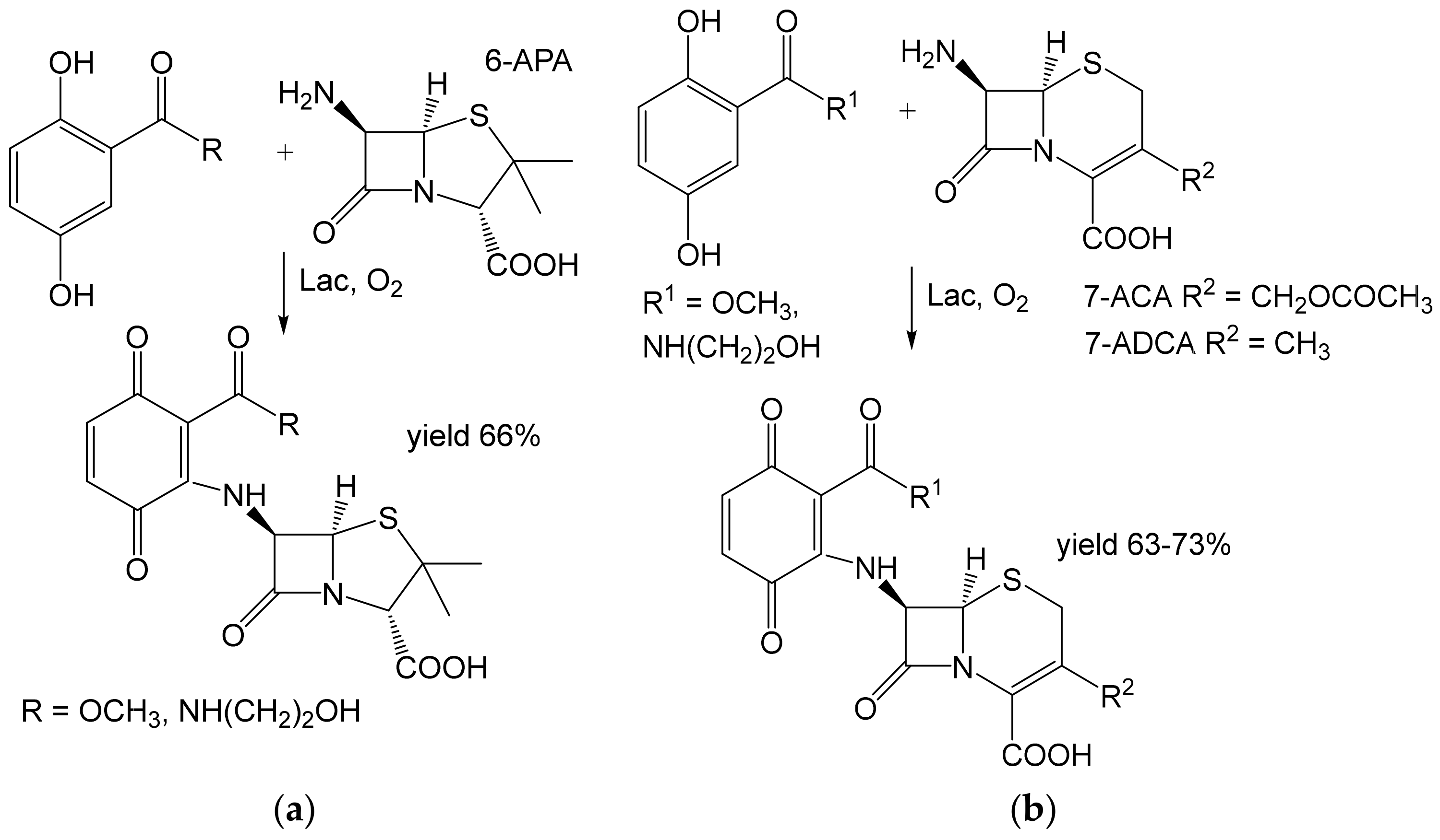 Ijms 23 03462 g008 550