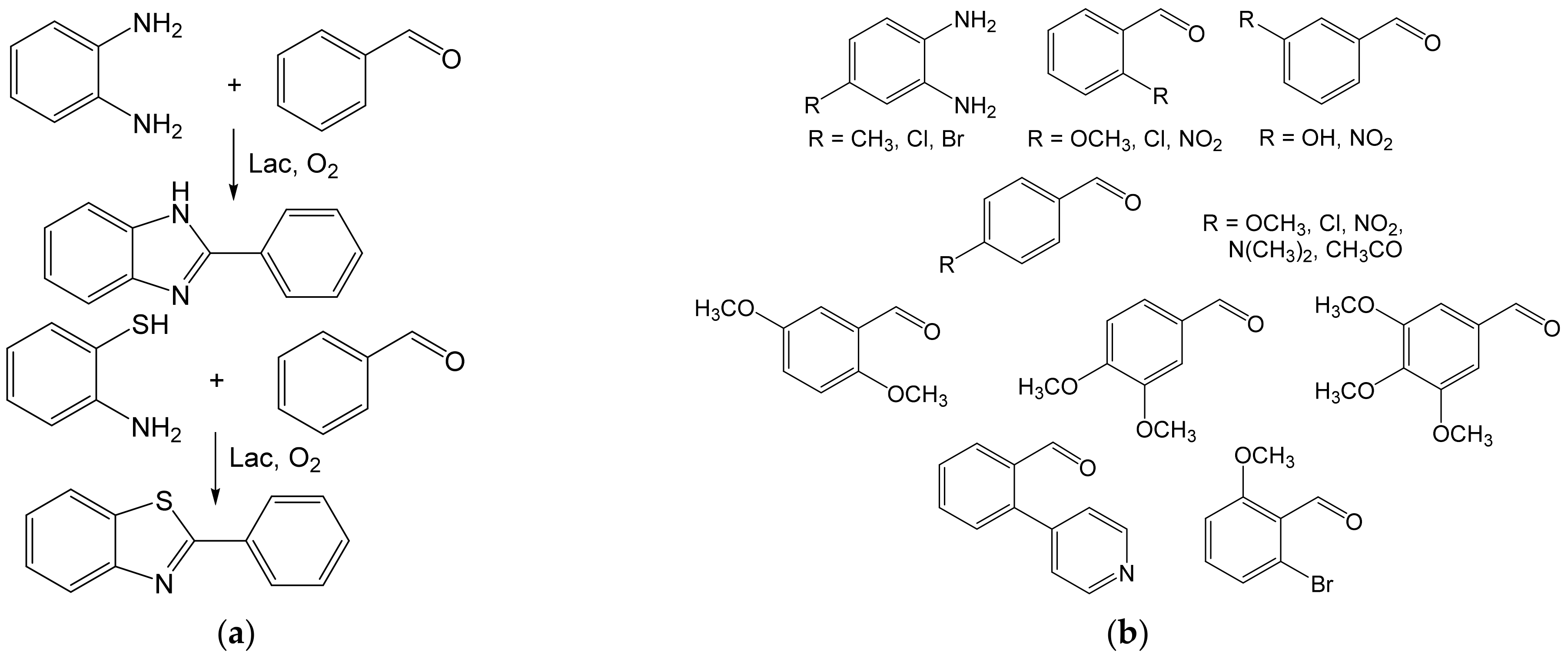 Ijms 23 03462 g010 550