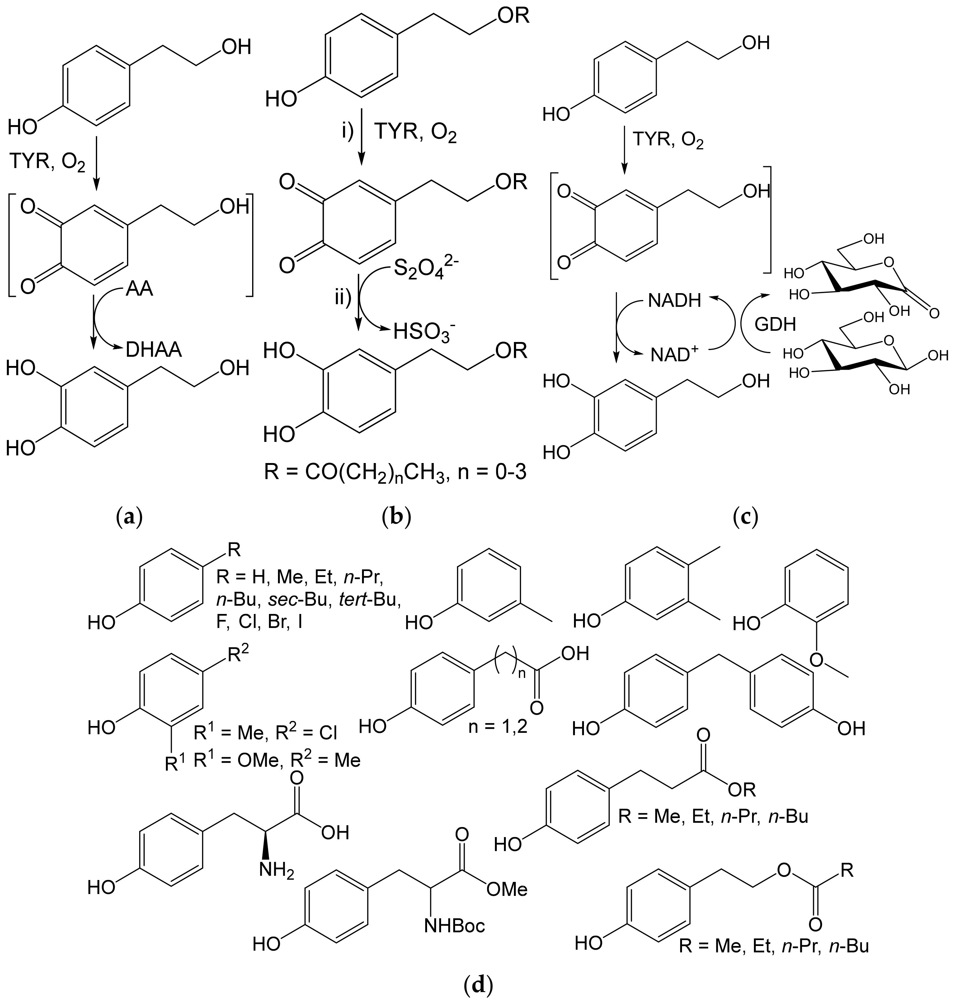 Ijms 23 03462 g015 550