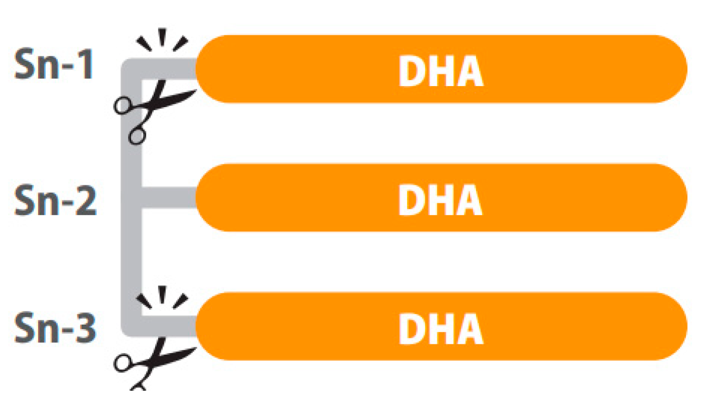 Ijms 23 03472 g001 550